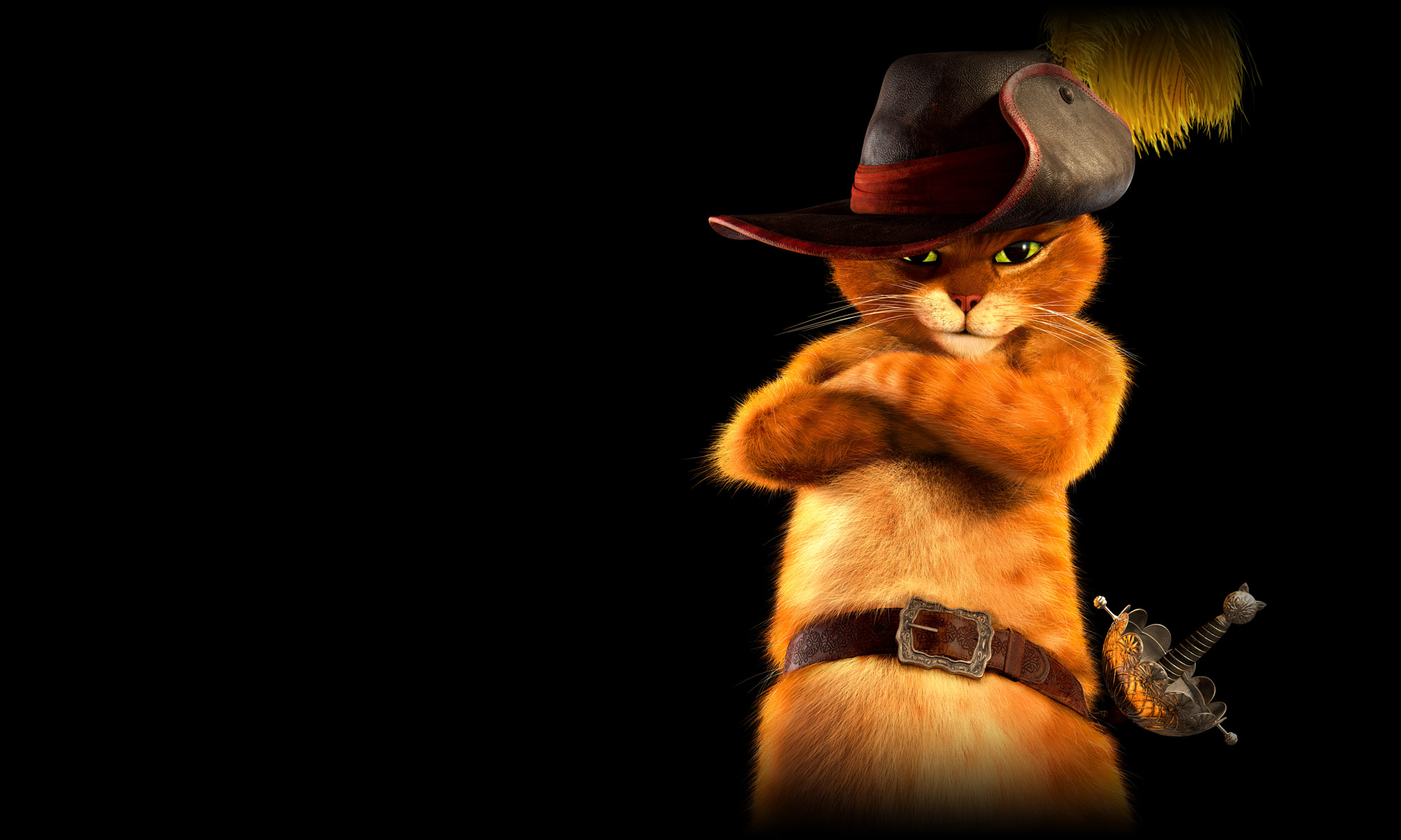 Puss In Boots Wallpapers