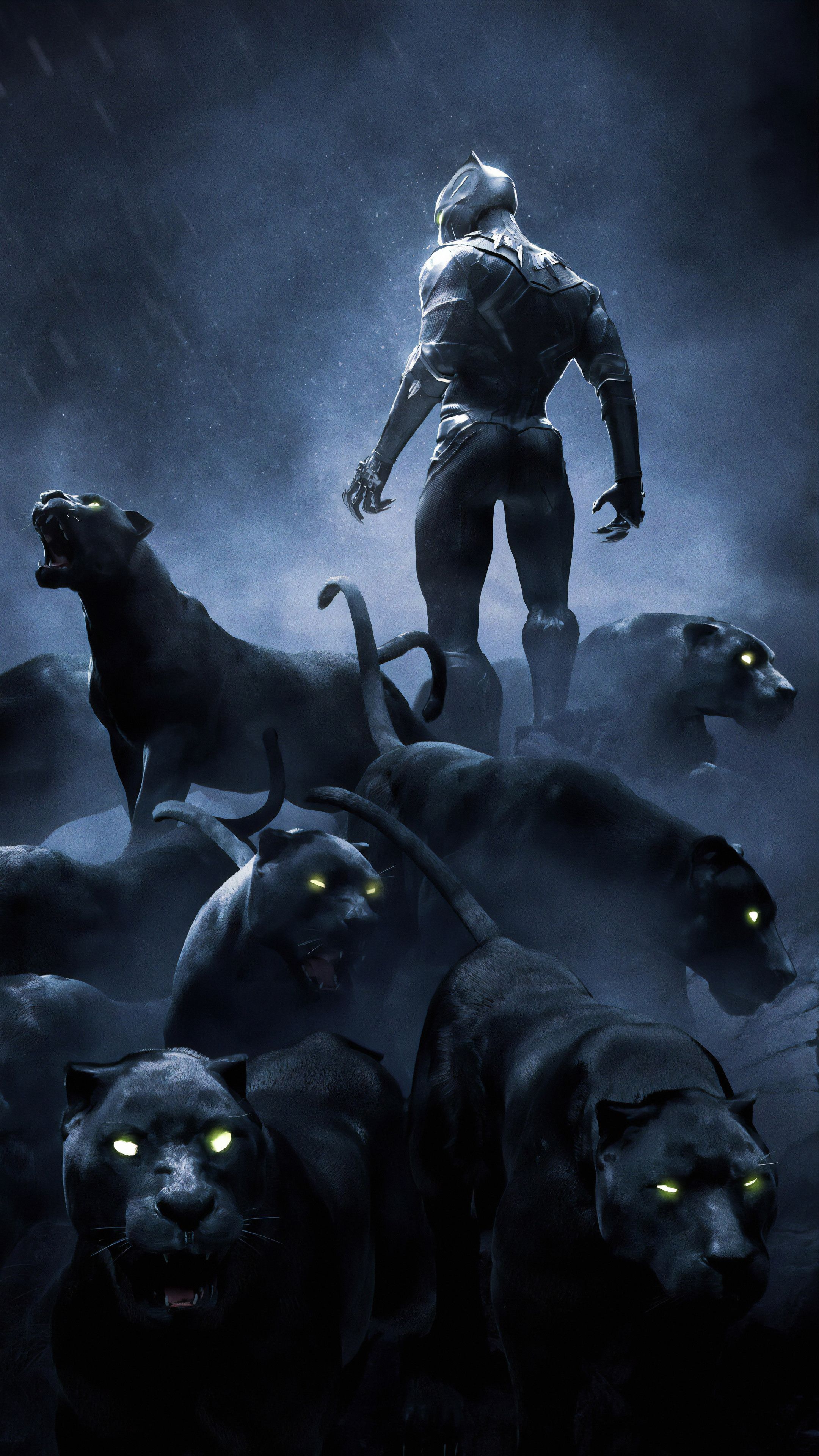 Rise Of The Black Panther Marvel Comics Wallpapers
