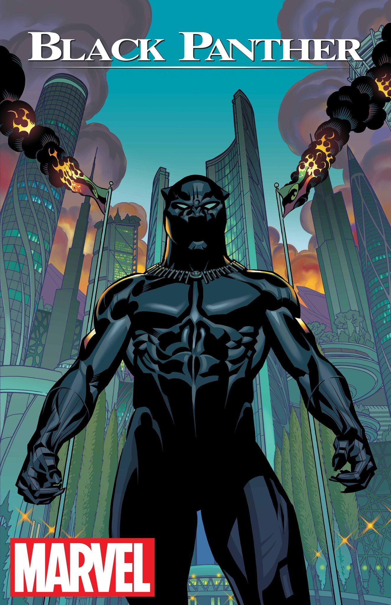 Rise Of The Black Panther Marvel Comics Wallpapers