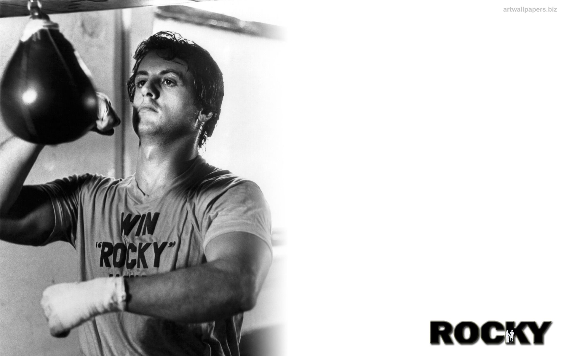 Rocky Balboa Wallpapers