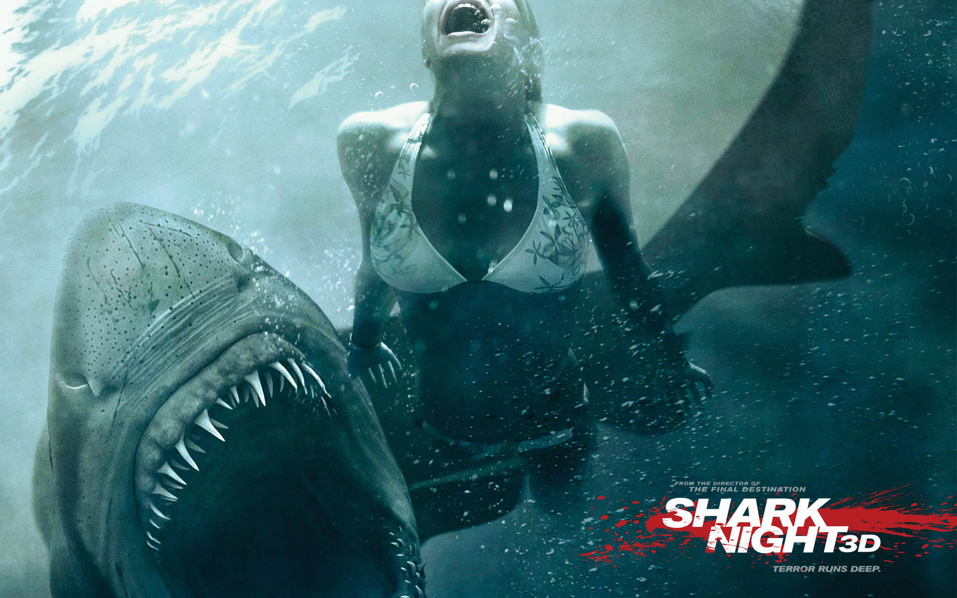 Shark Night Wallpapers