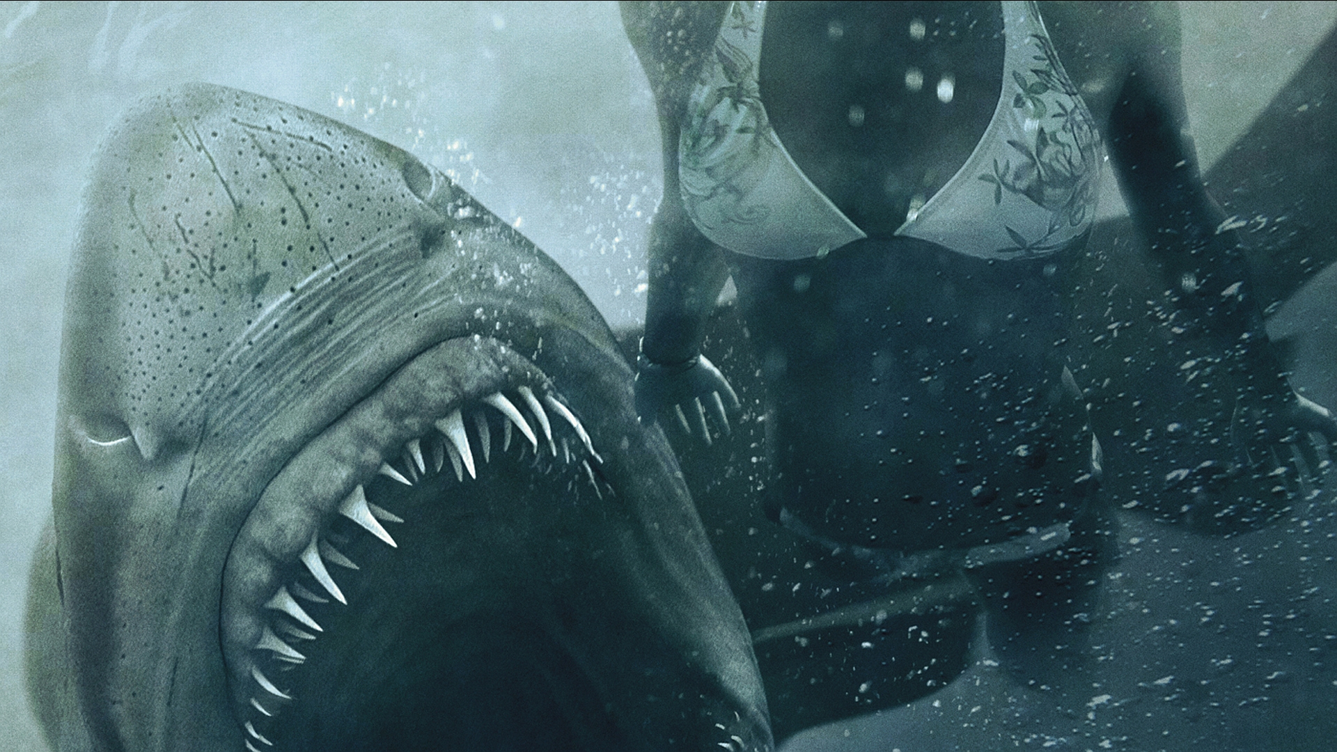 Shark Night Wallpapers