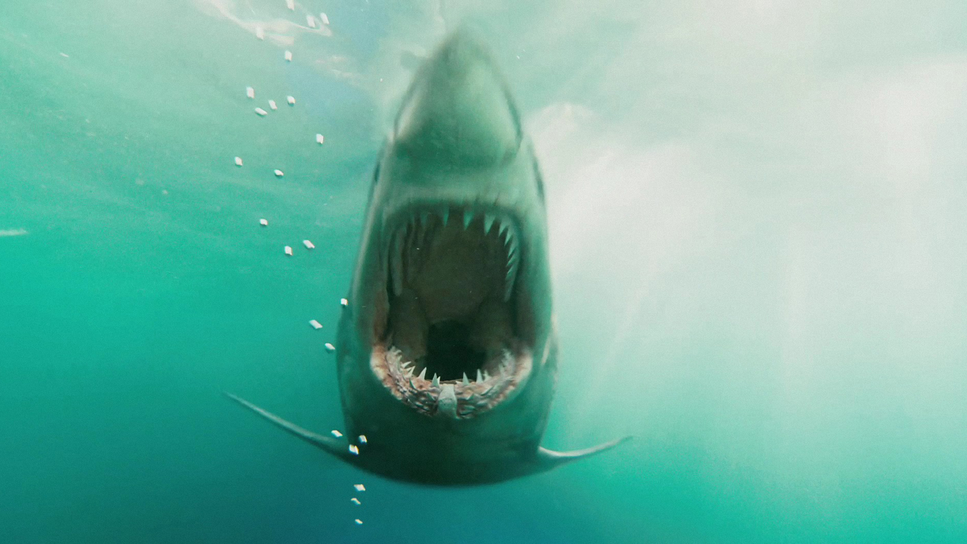 Shark Night Wallpapers