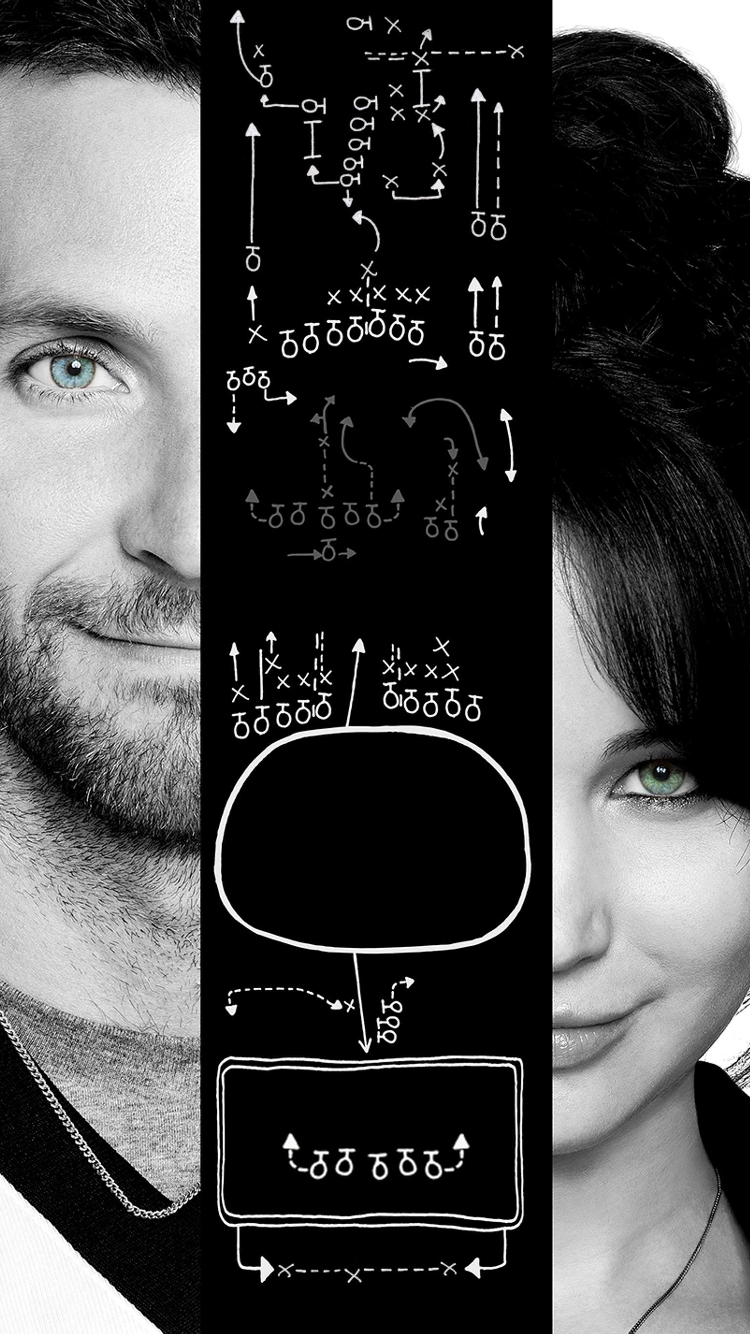 Silver Linings Playbook Wallpapers