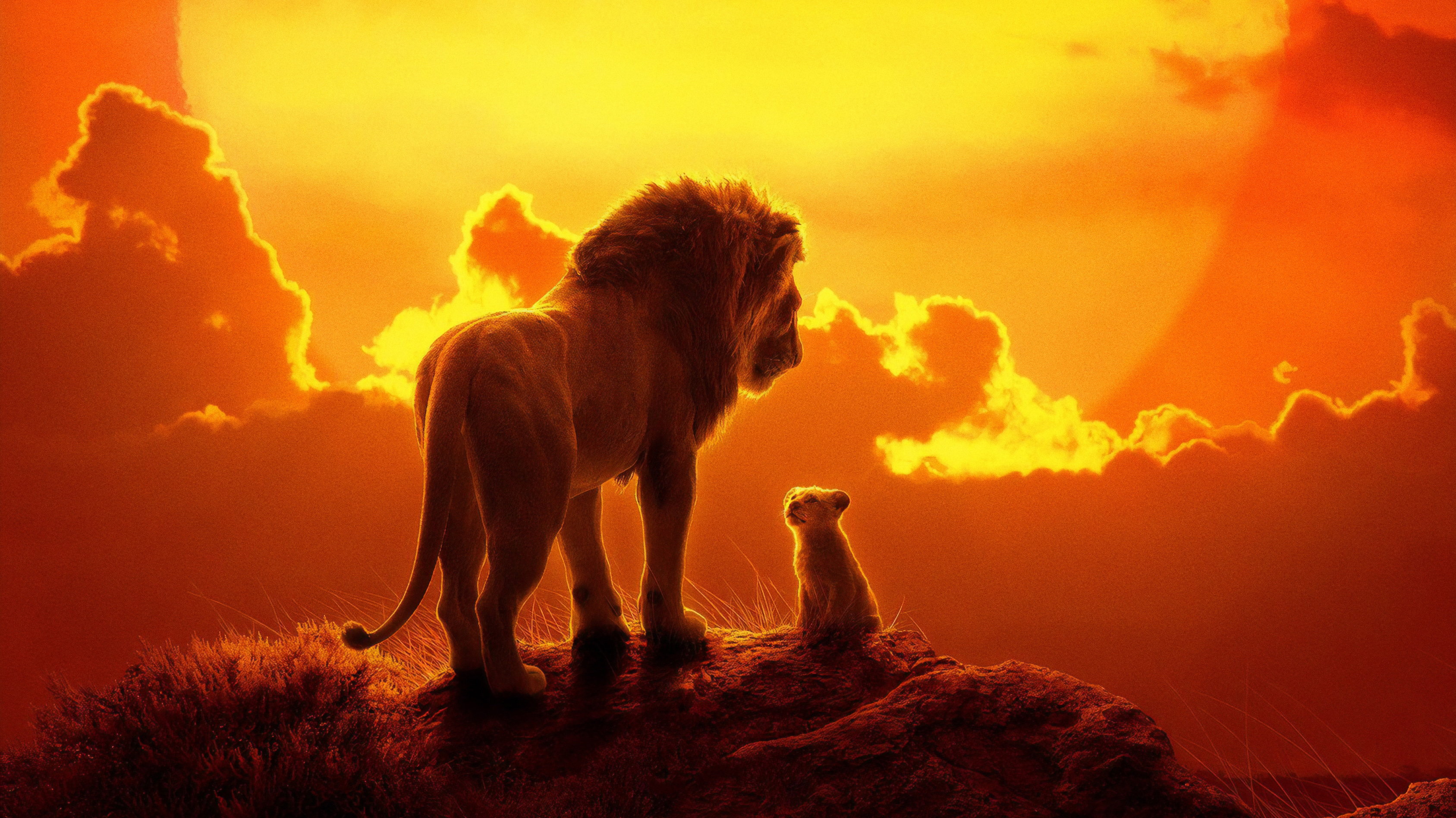 Simba In The Lion King 2019 Movie Wallpapers