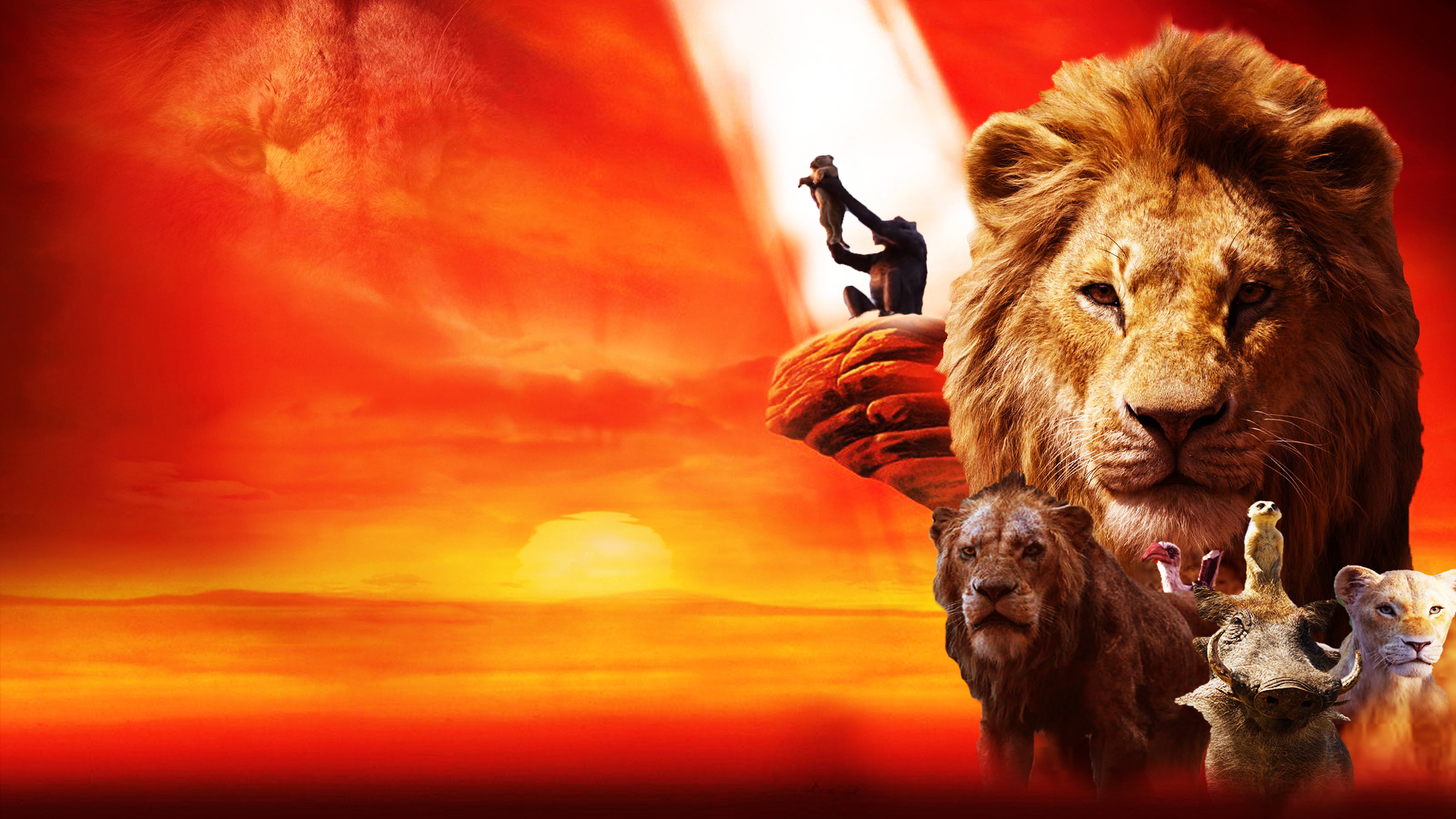 Simba In The Lion King 2019 Movie Wallpapers