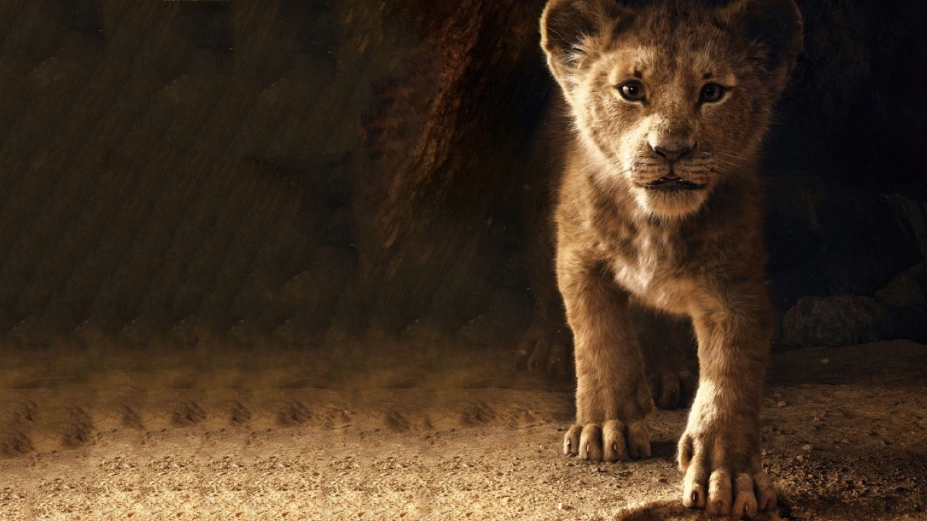 Simba In The Lion King 2019 Movie Wallpapers