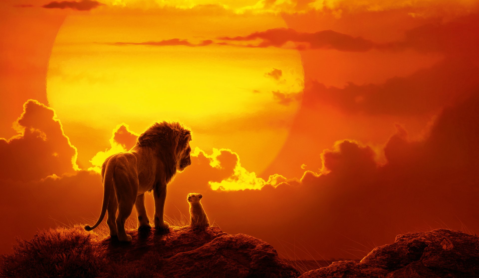 Simba In The Lion King 2019 Movie Wallpapers