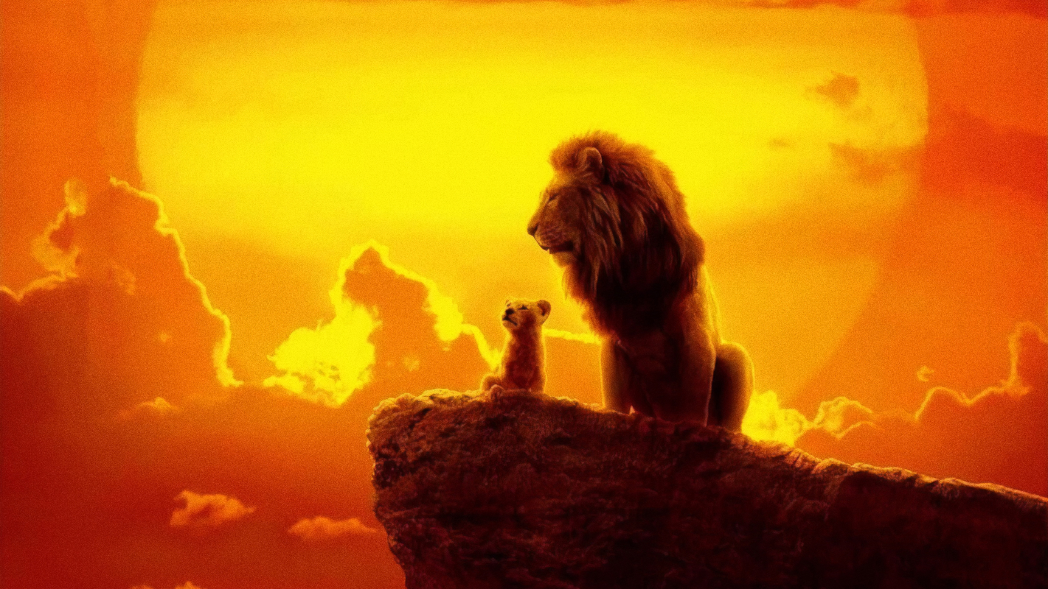 Simba In The Lion King 2019 Movie Wallpapers