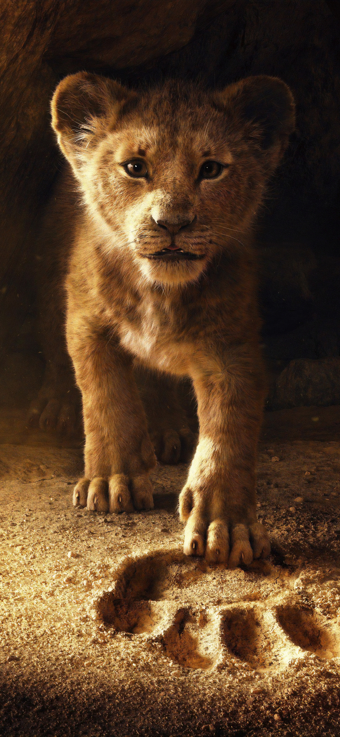 Simba In The Lion King 2019 Movie Wallpapers