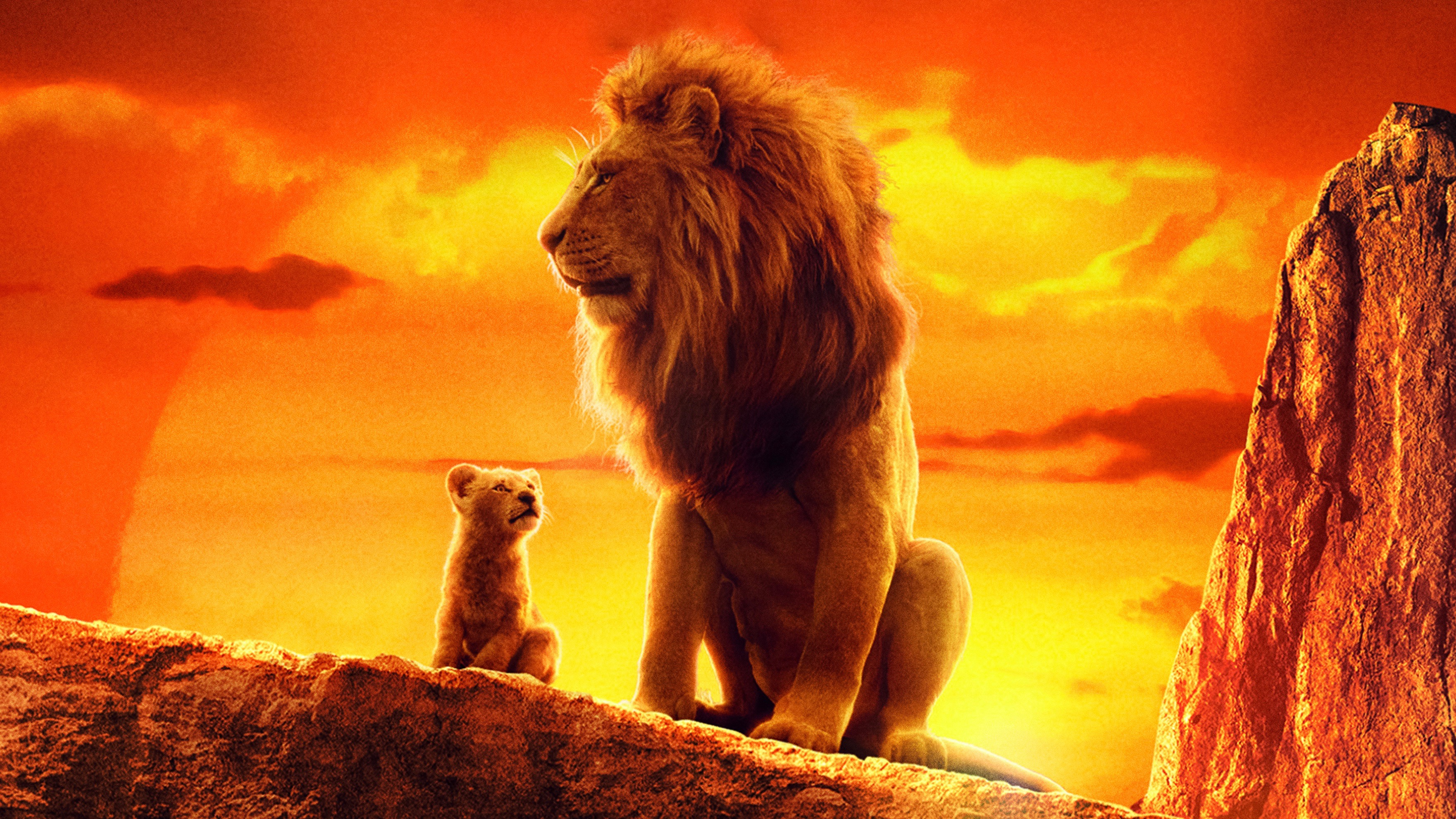 Simba In The Lion King 2019 Movie Wallpapers