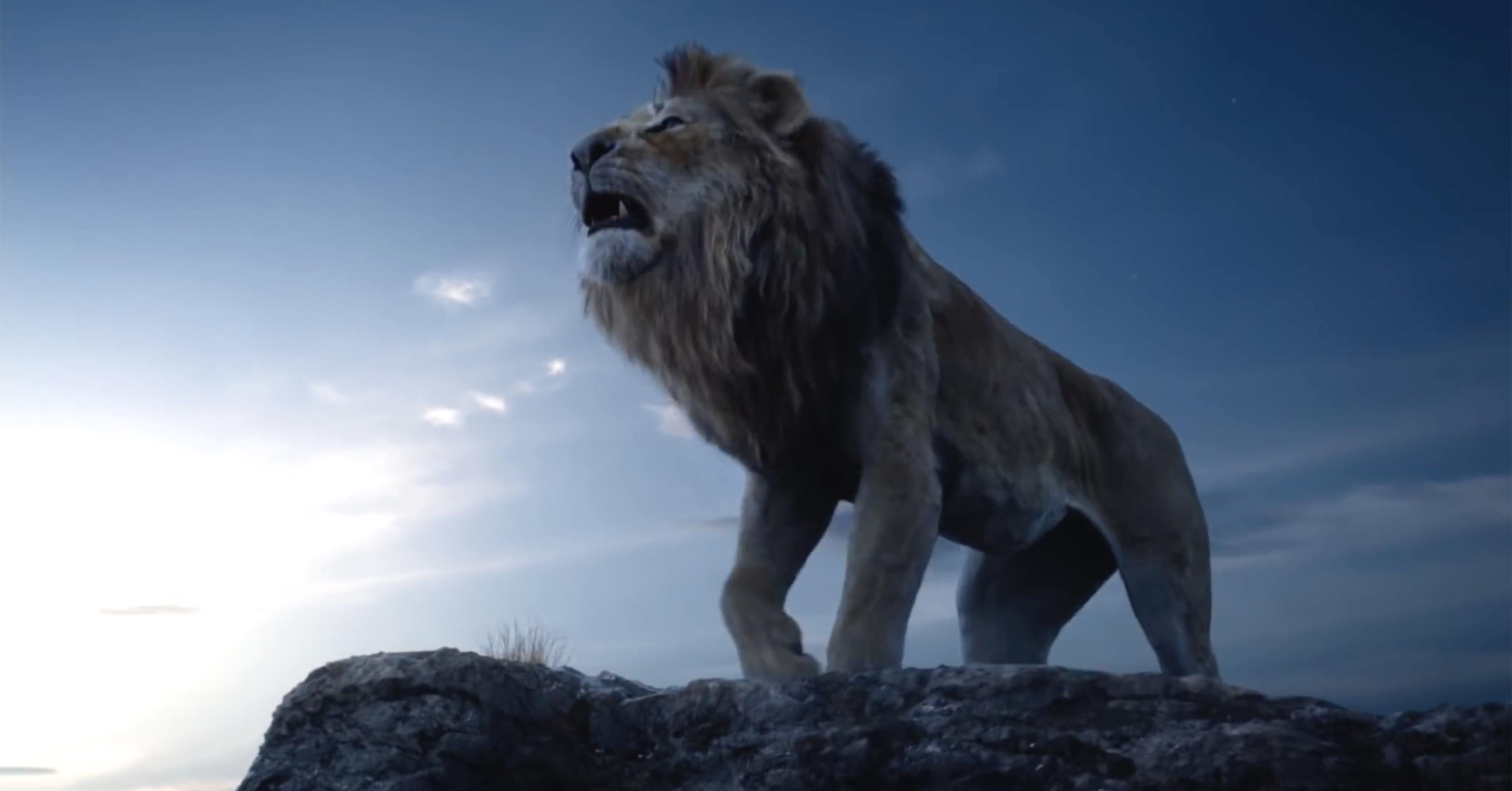 Simba In The Lion King 2019 Movie Wallpapers