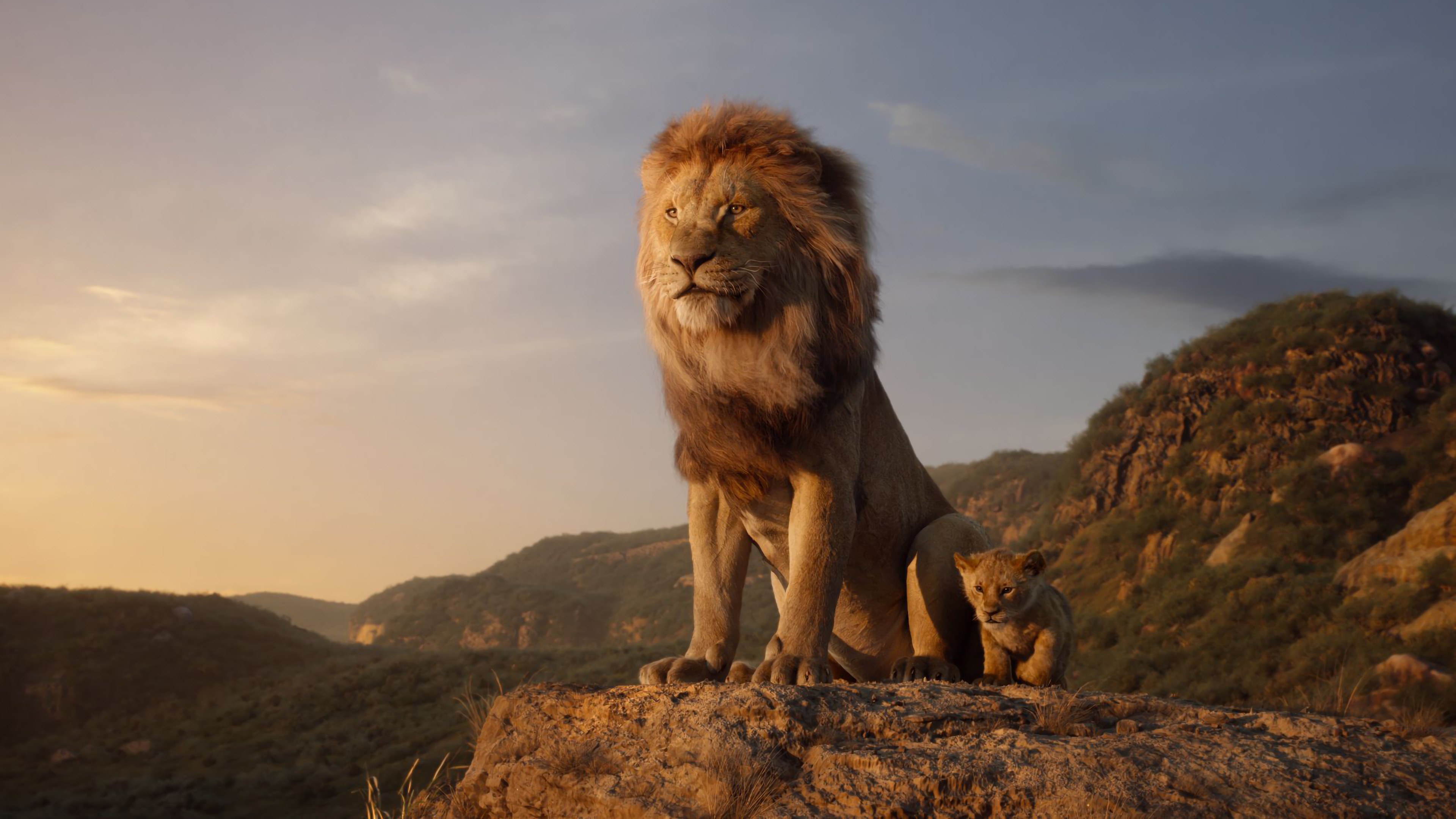 Simba In The Lion King 2019 Movie Wallpapers