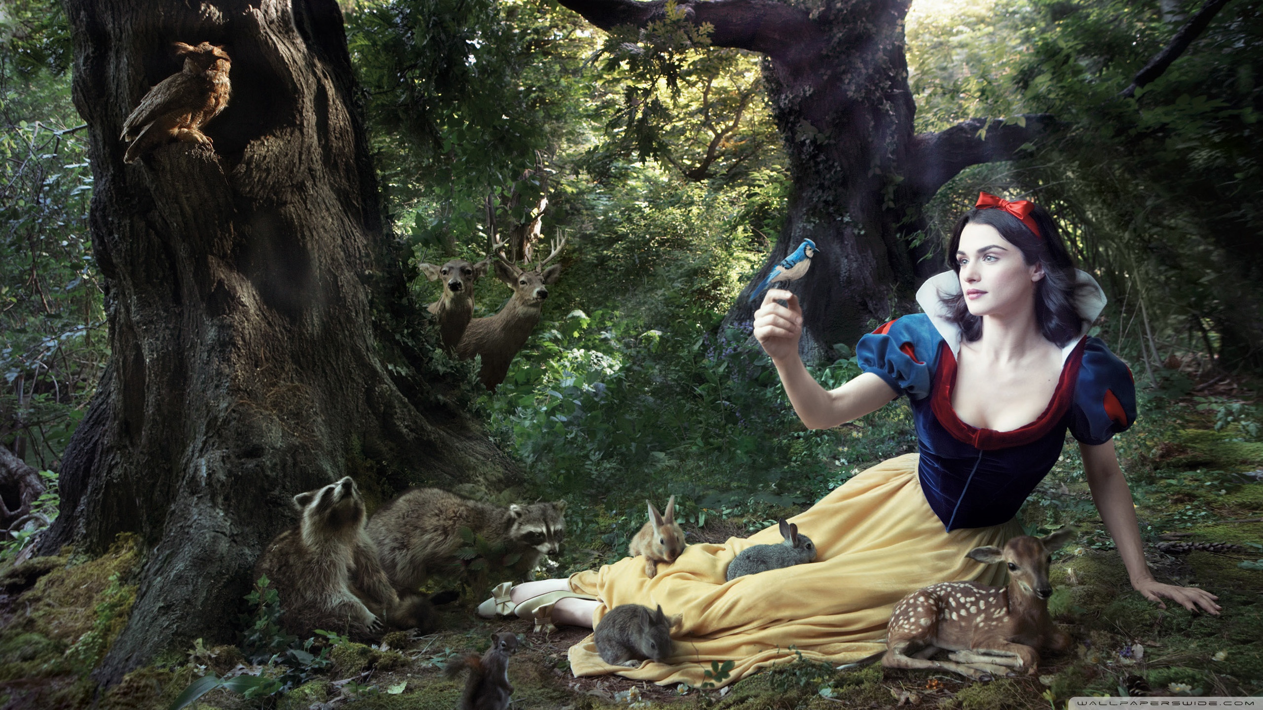 Snow White Wallpapers