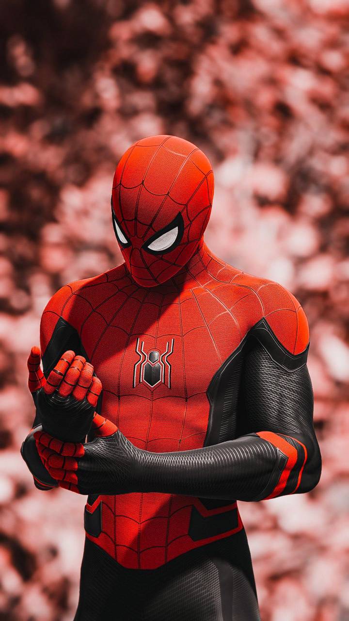 Spider Man Wallpapers