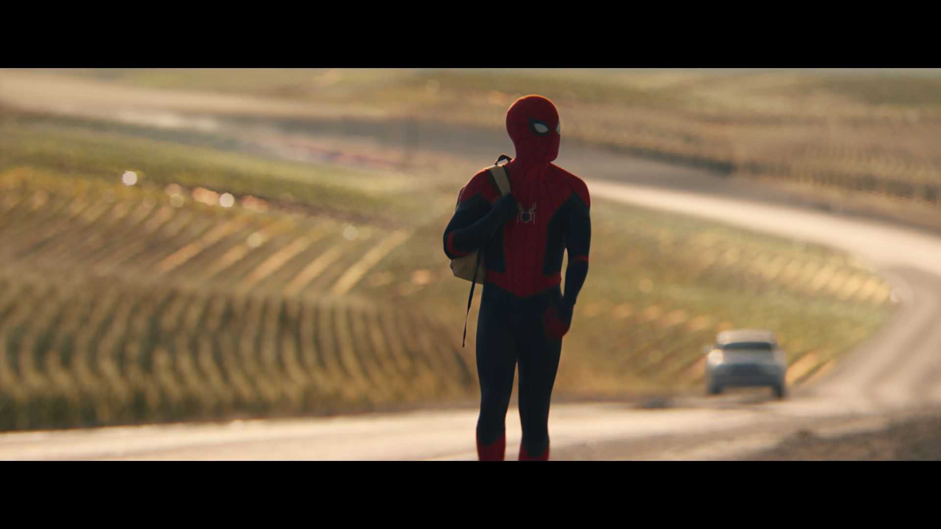 Spiderman No Way Home Walking Away Wallpapers