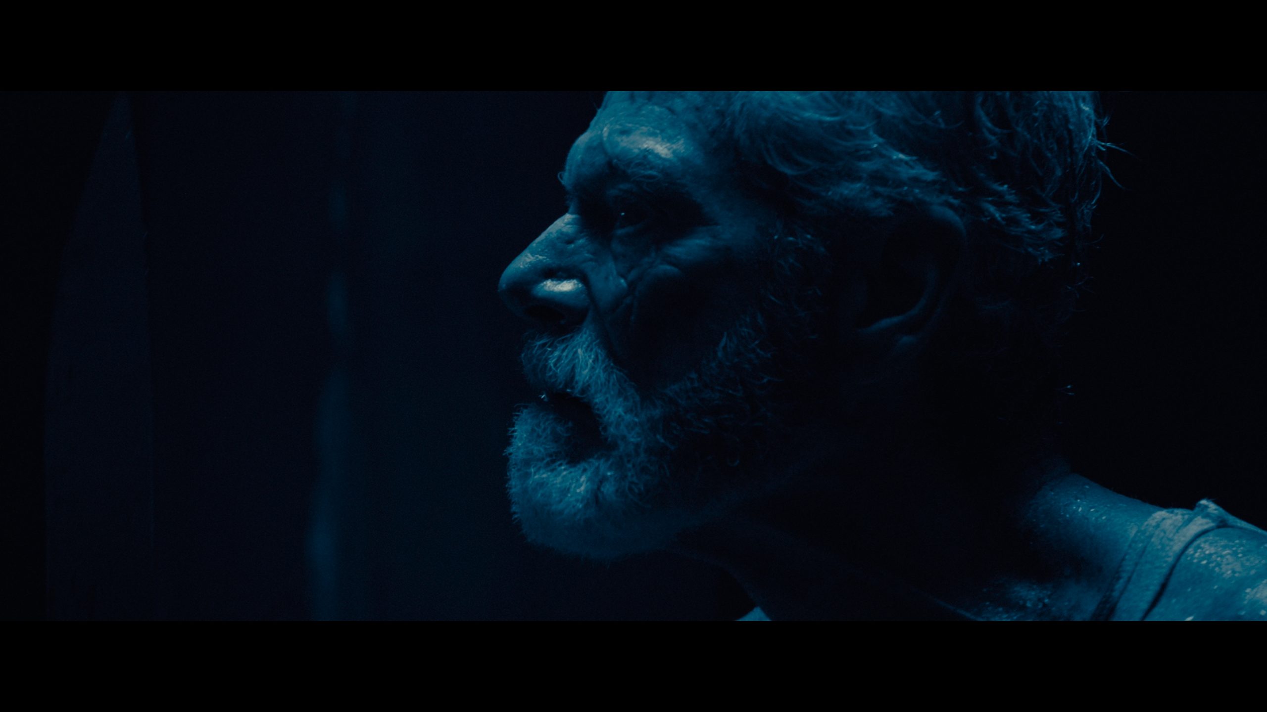 Stephen Lang Don'T Breathe 2 Wallpapers