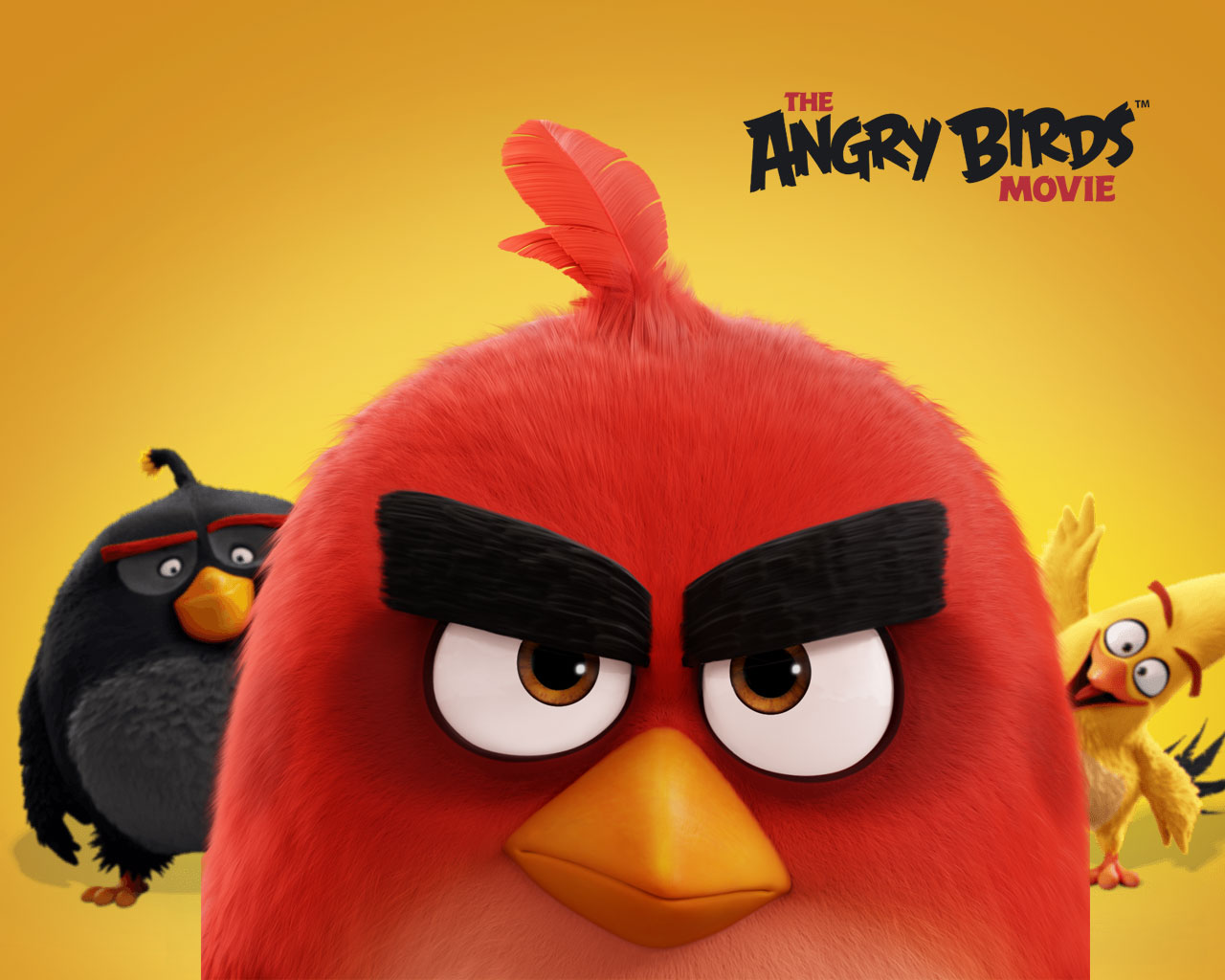 The Angry Birds Movie Wallpapers