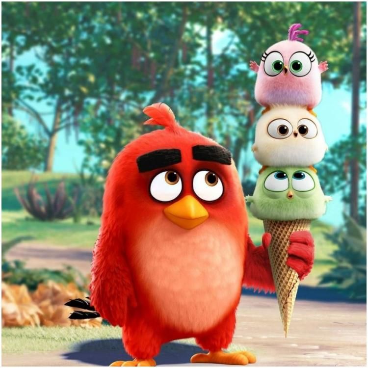 The Angry Birds Movie 2 Wallpapers