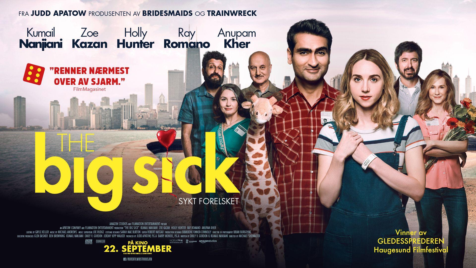 The Big Sick Wallpapers