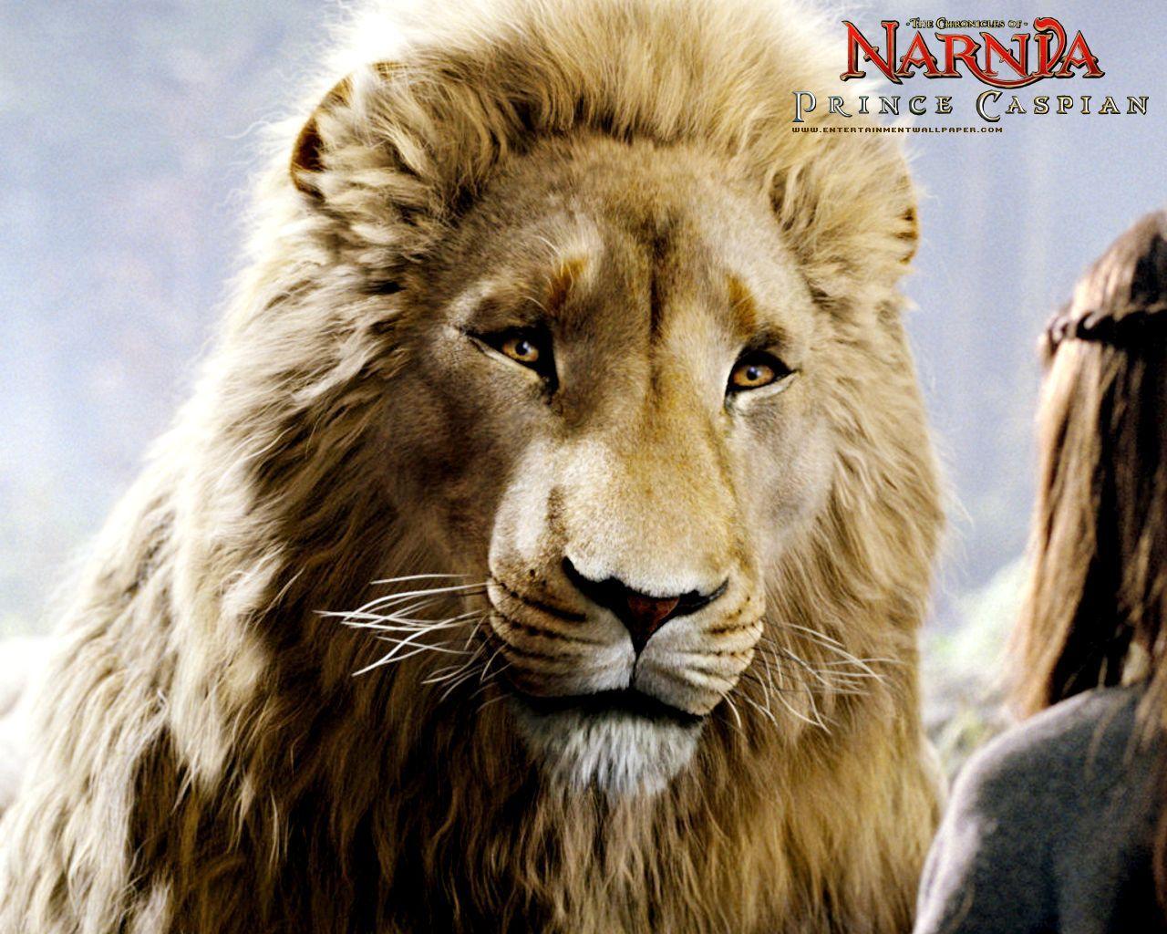 The Chronicles Of Narnia: Prince Caspian Wallpapers