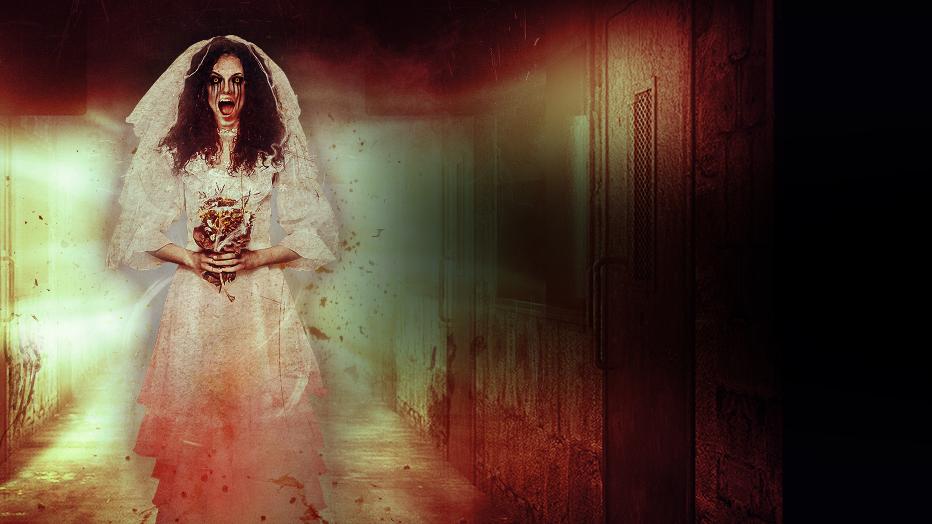 The Curse Of La Llorona Wallpapers