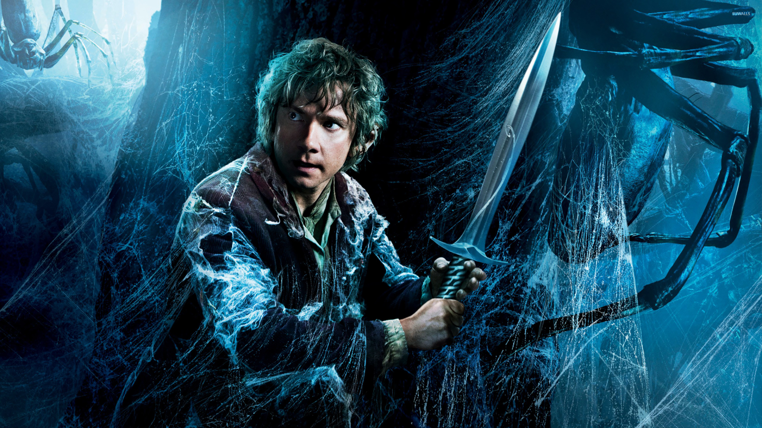 The Hobbit: The Desolation Of Smaug Wallpapers