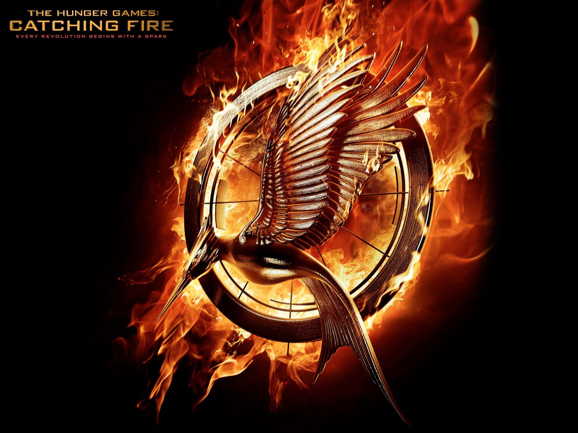 The Hunger Games: Catching Fire Wallpapers