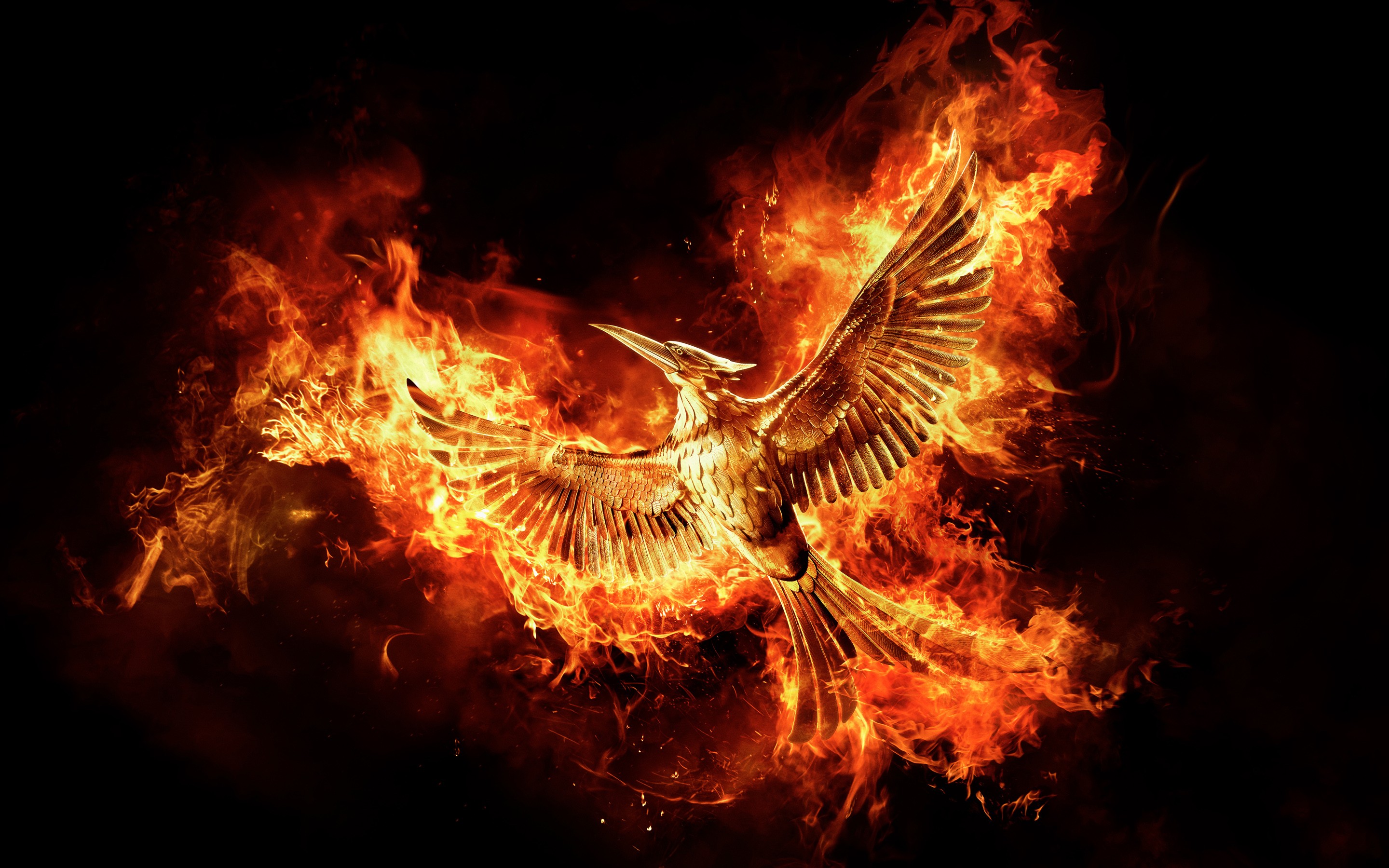 The Hunger Games: Mockingjay - Part 2 Wallpapers