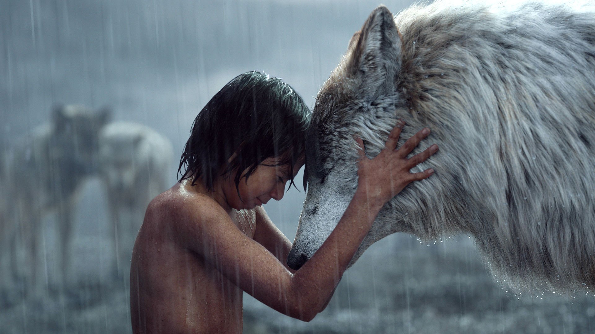 The Jungle Book Wallpapers