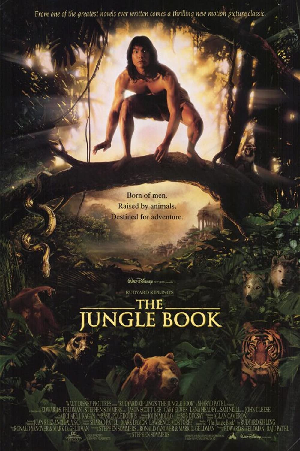 The Jungle Book Movie Wallpapers