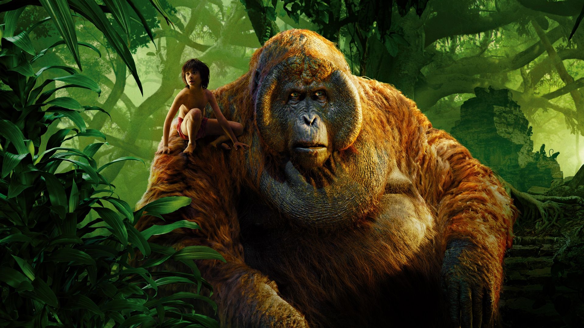 The Jungle Book Movie Wallpapers