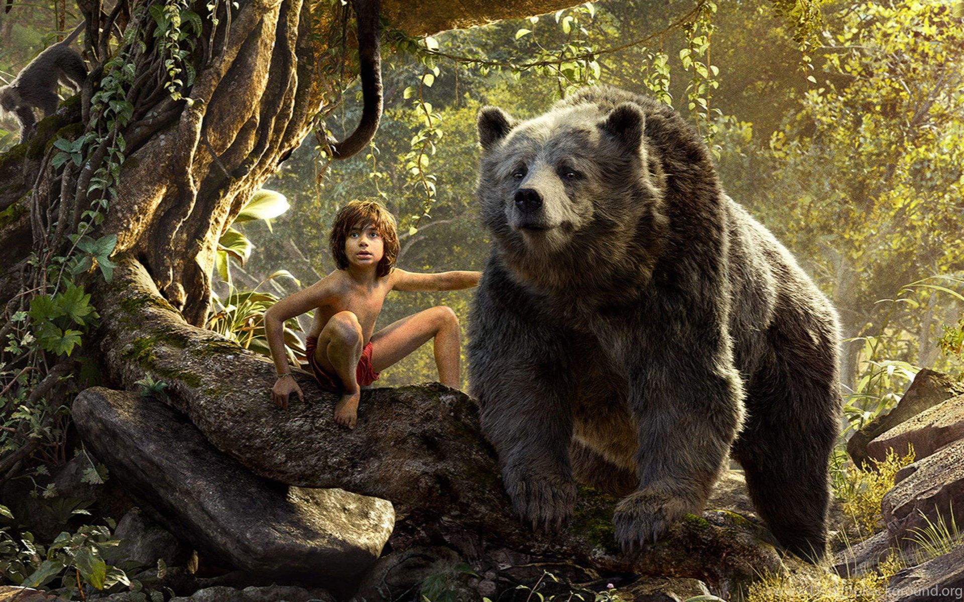 The Jungle Book Movie Poster Wallpapers