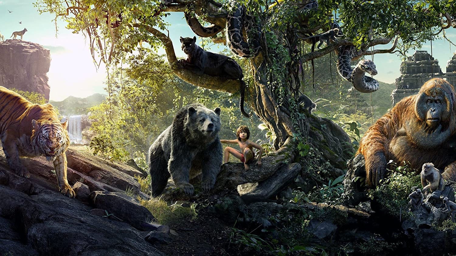 The Jungle Book Movie Poster Wallpapers