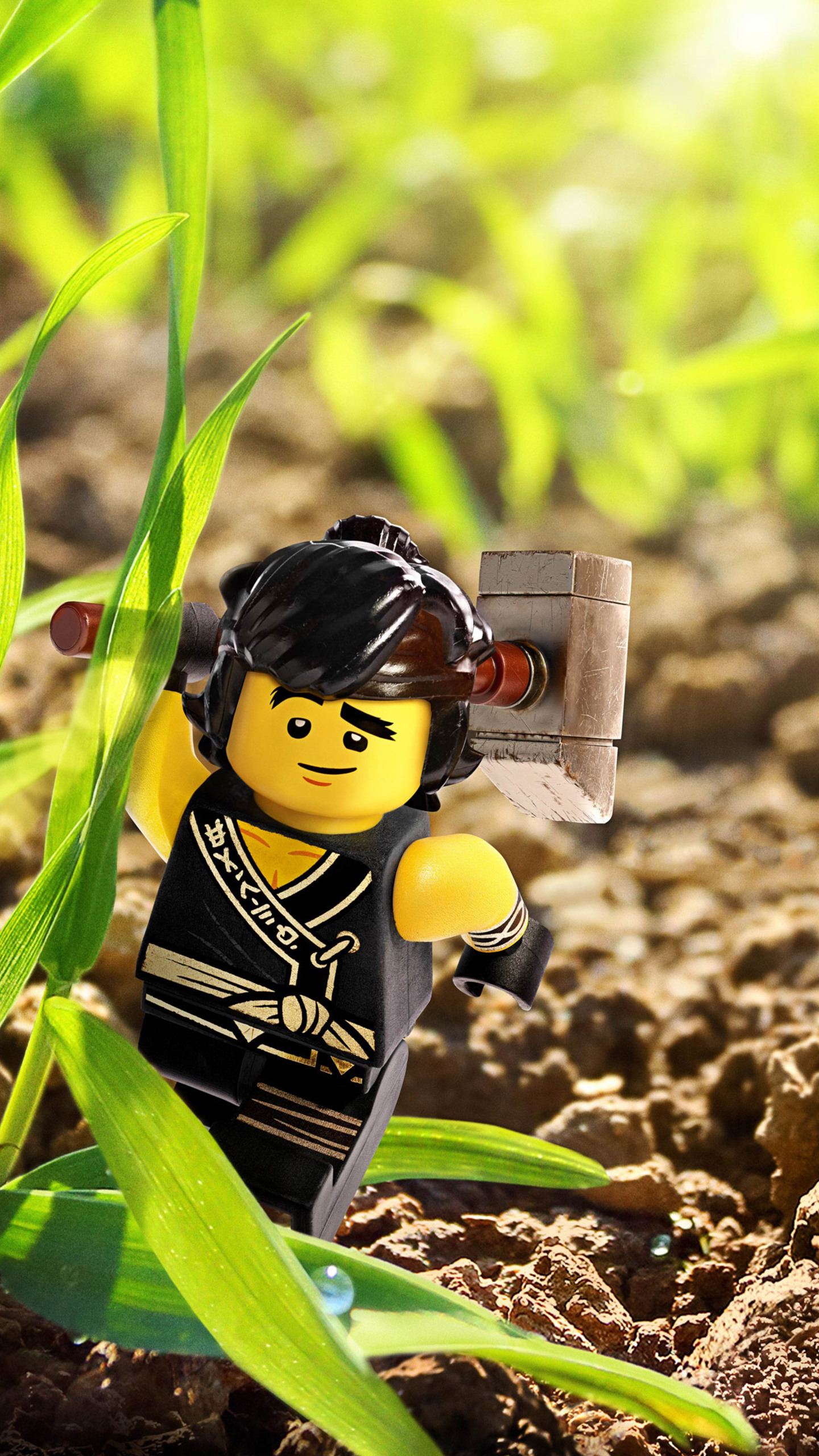 The Lego Ninjago Movie Wallpapers