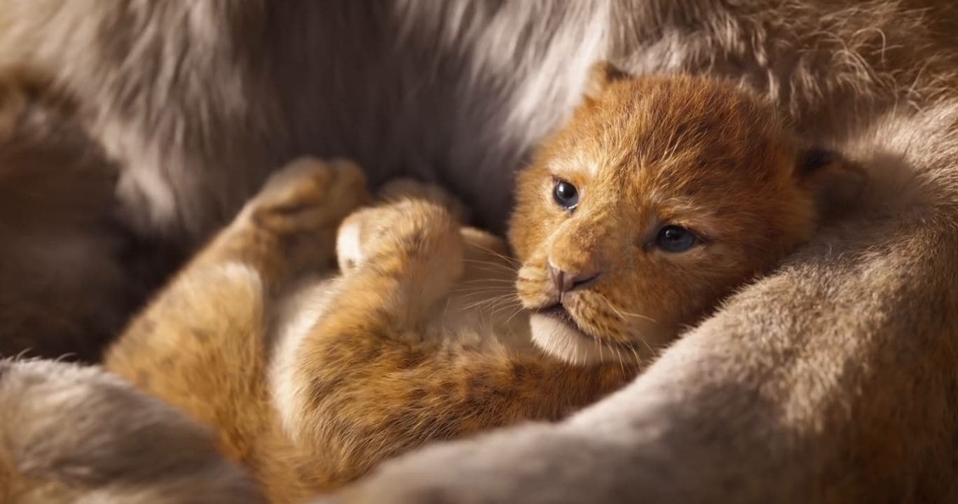 The Lion King (2019) Wallpapers