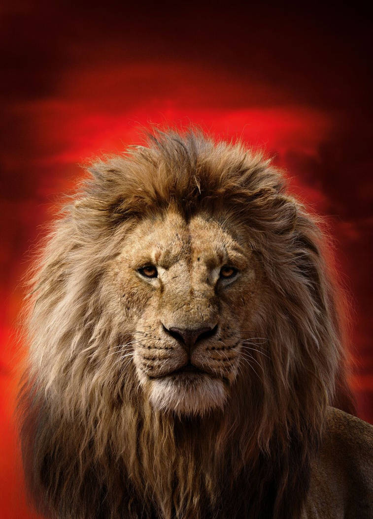 The Lion King 2019 Wallpapers