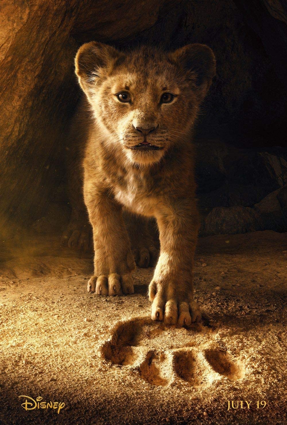 The Lion King 2019 Movie Wallpapers