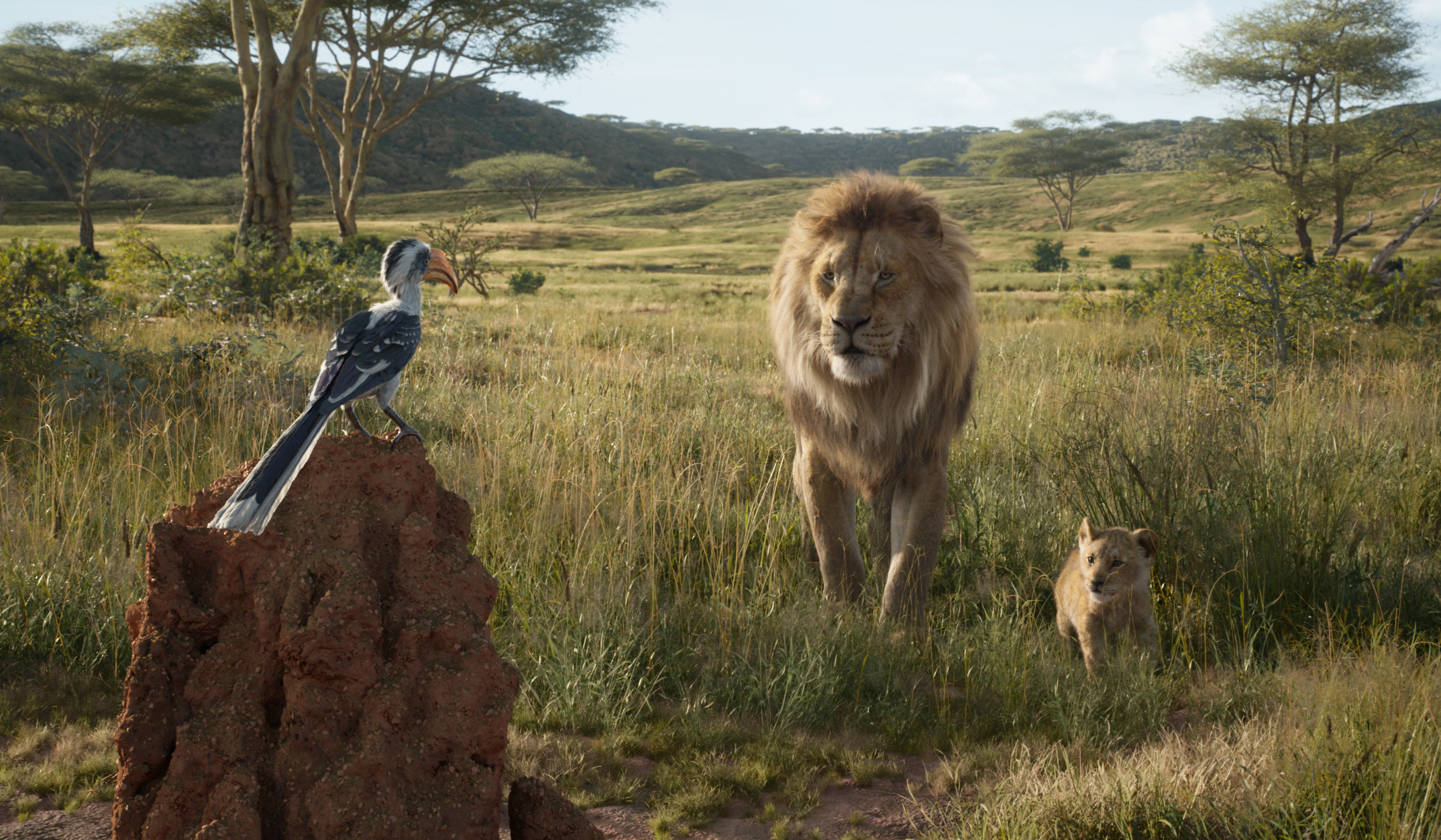 The Lion King 2019 Movie Poster Wallpapers