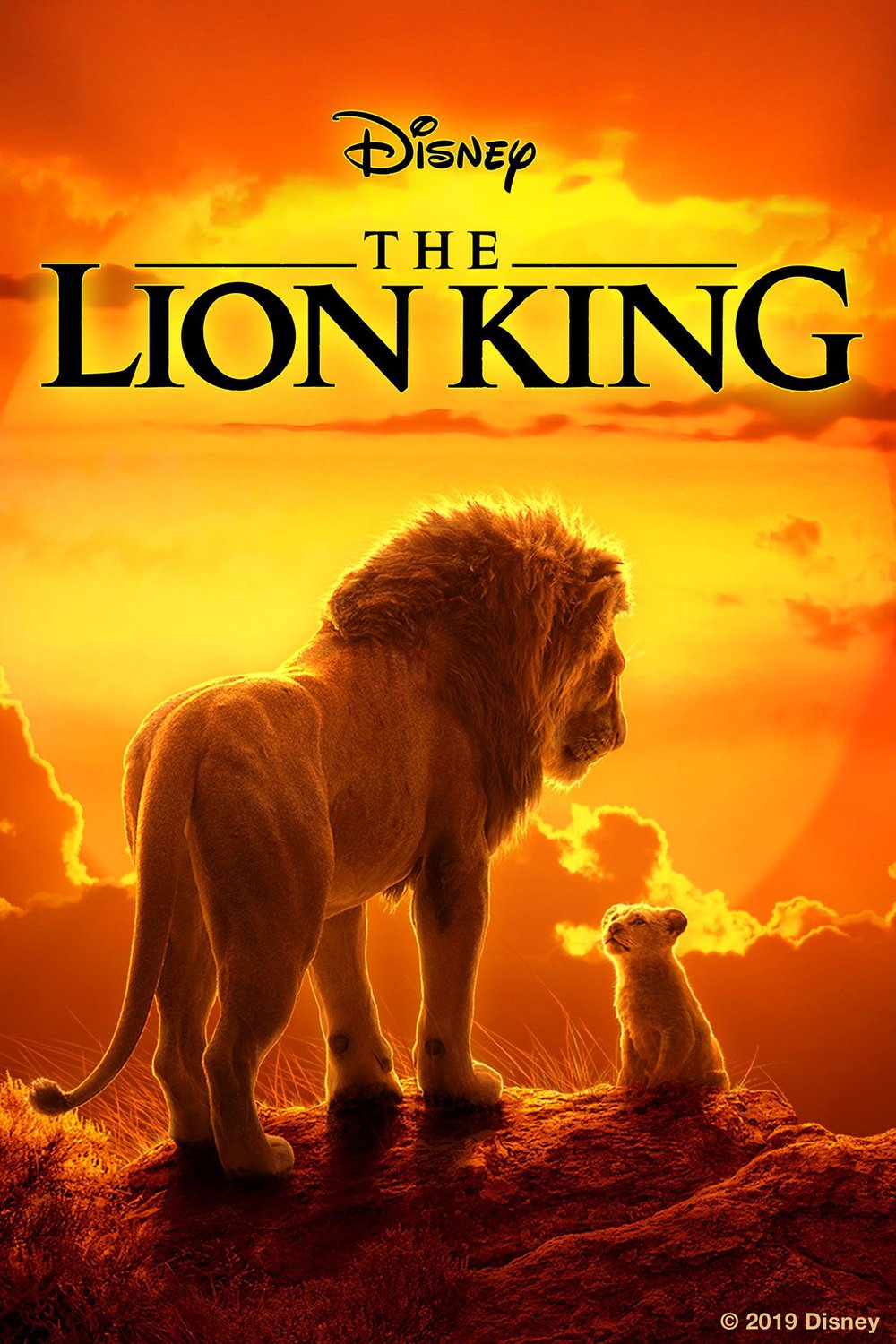 The Lion King 2019 Movie Poster Wallpapers