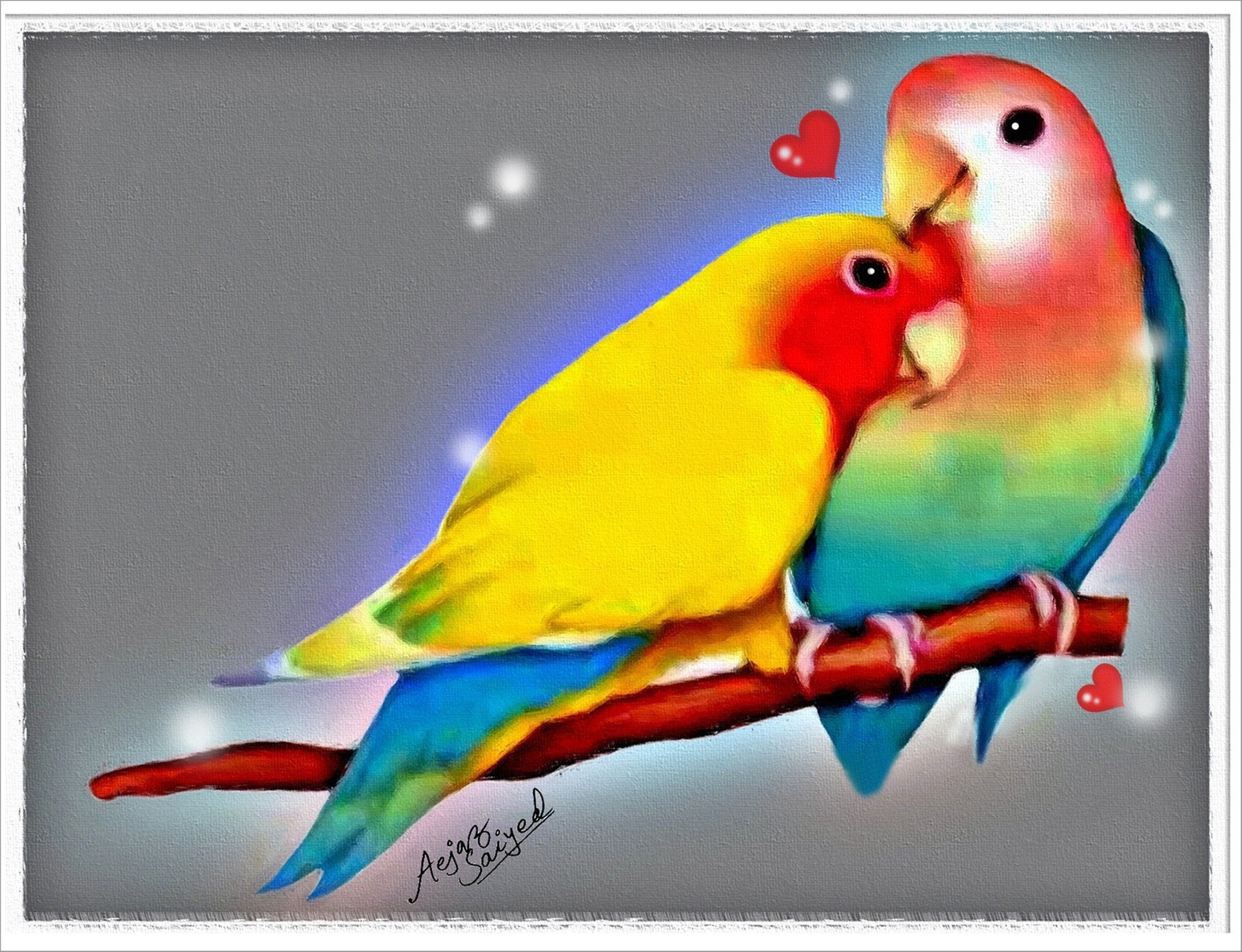 The Lovebirds Wallpapers