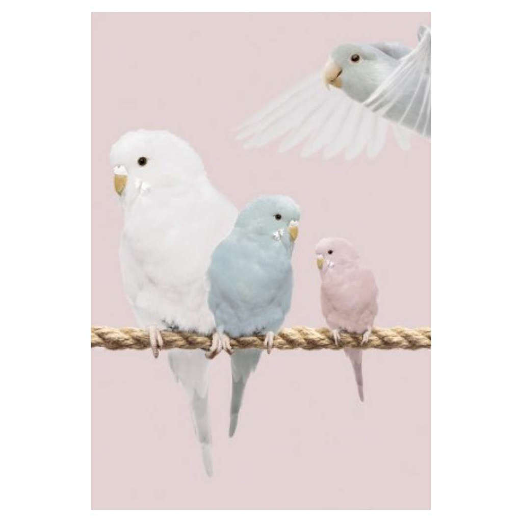 The Lovebirds Wallpapers