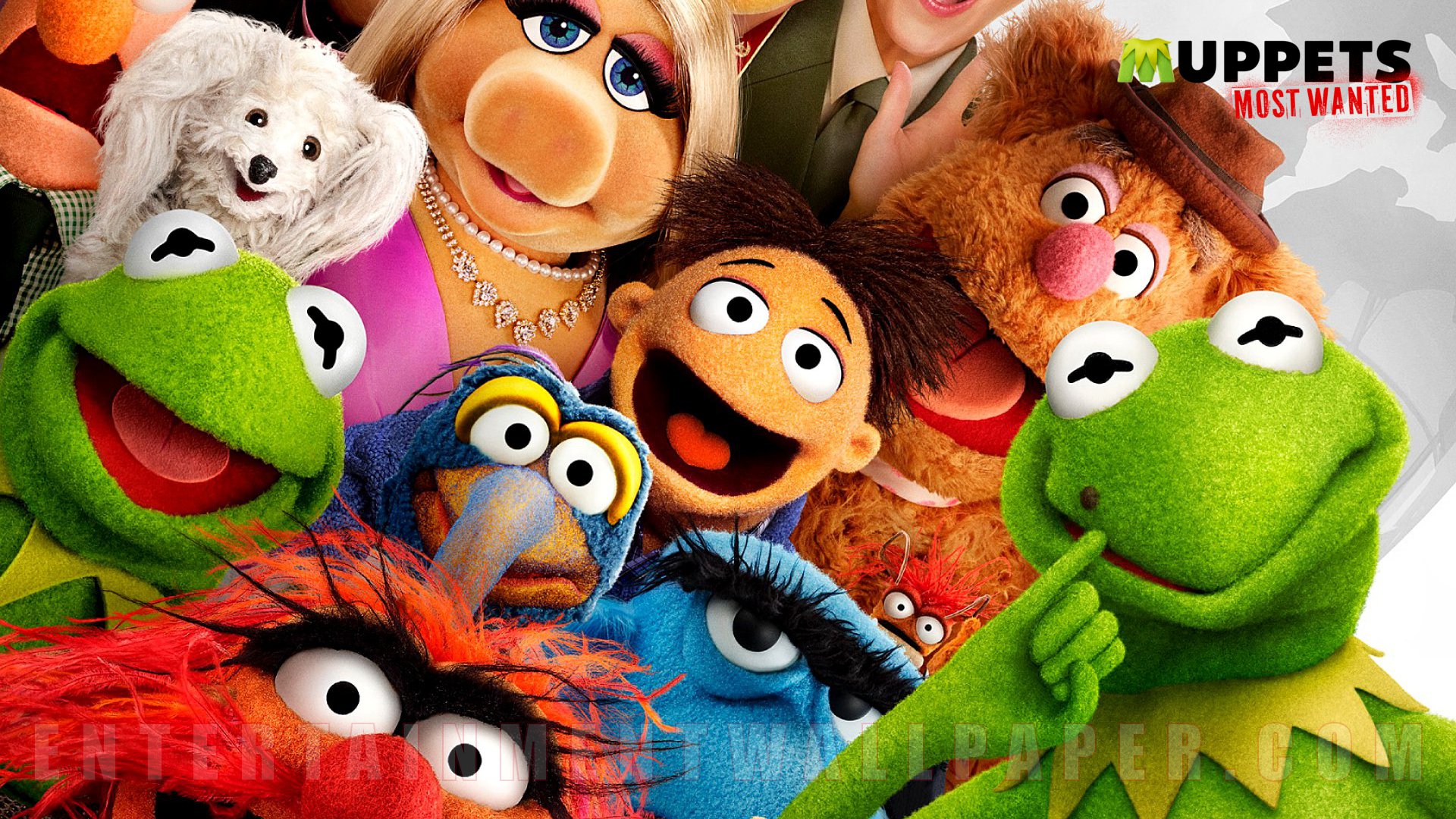 The Muppets Wallpapers