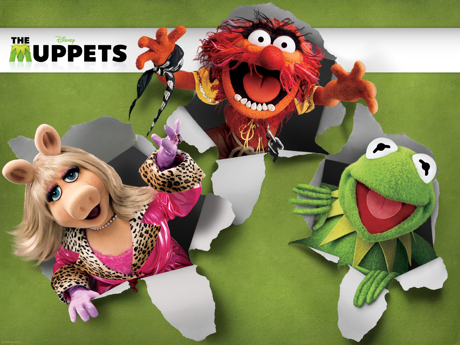 The Muppets Wallpapers