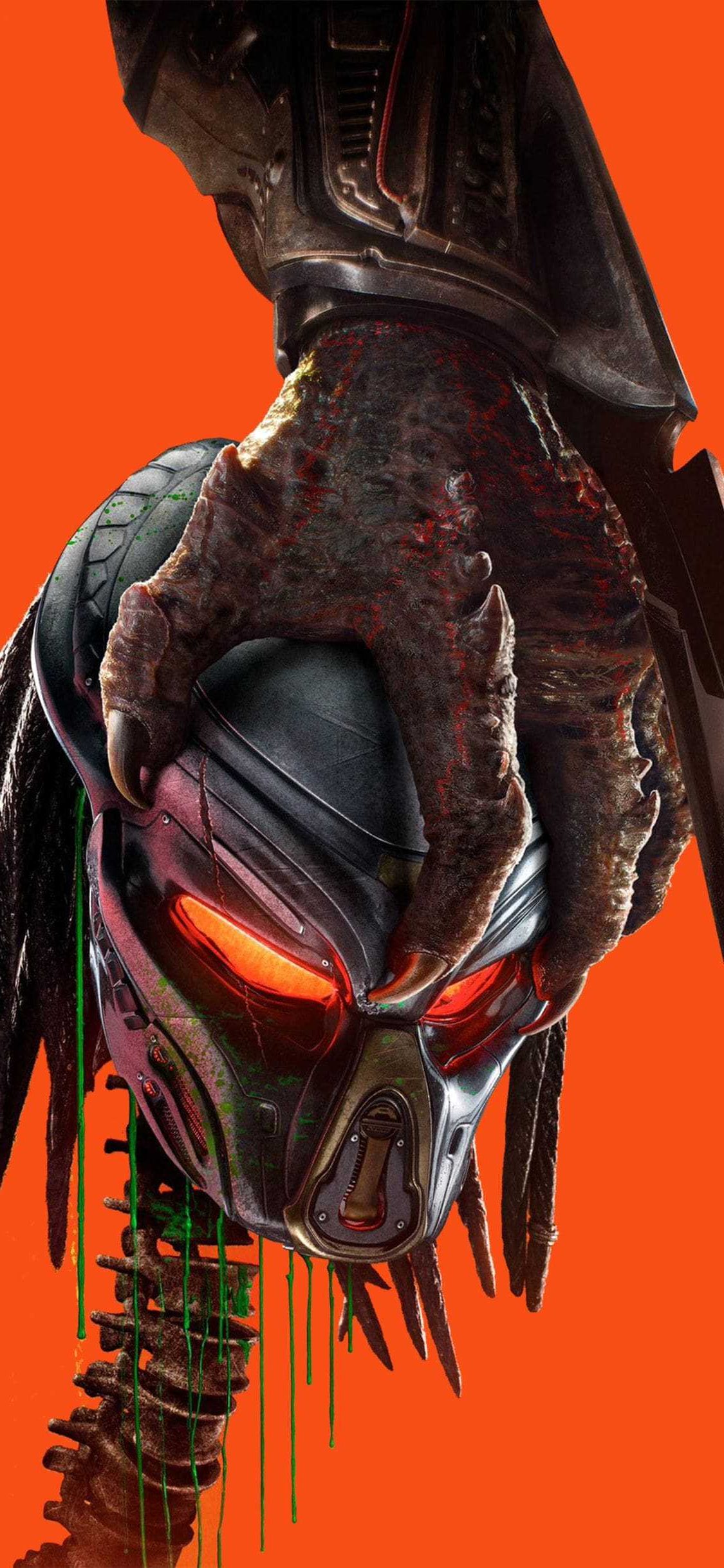 The Predator Wallpapers