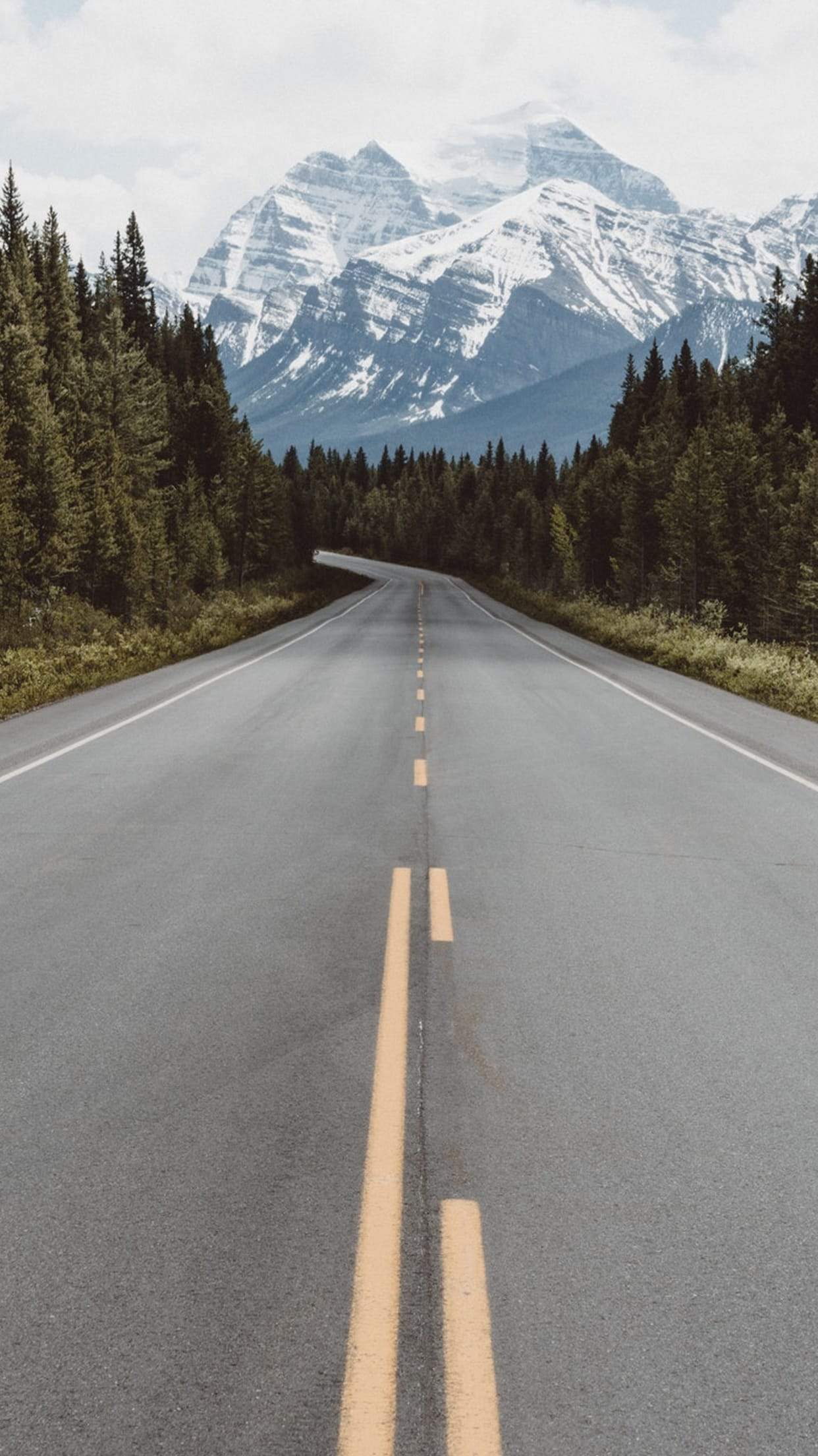 The Road Wallpapers