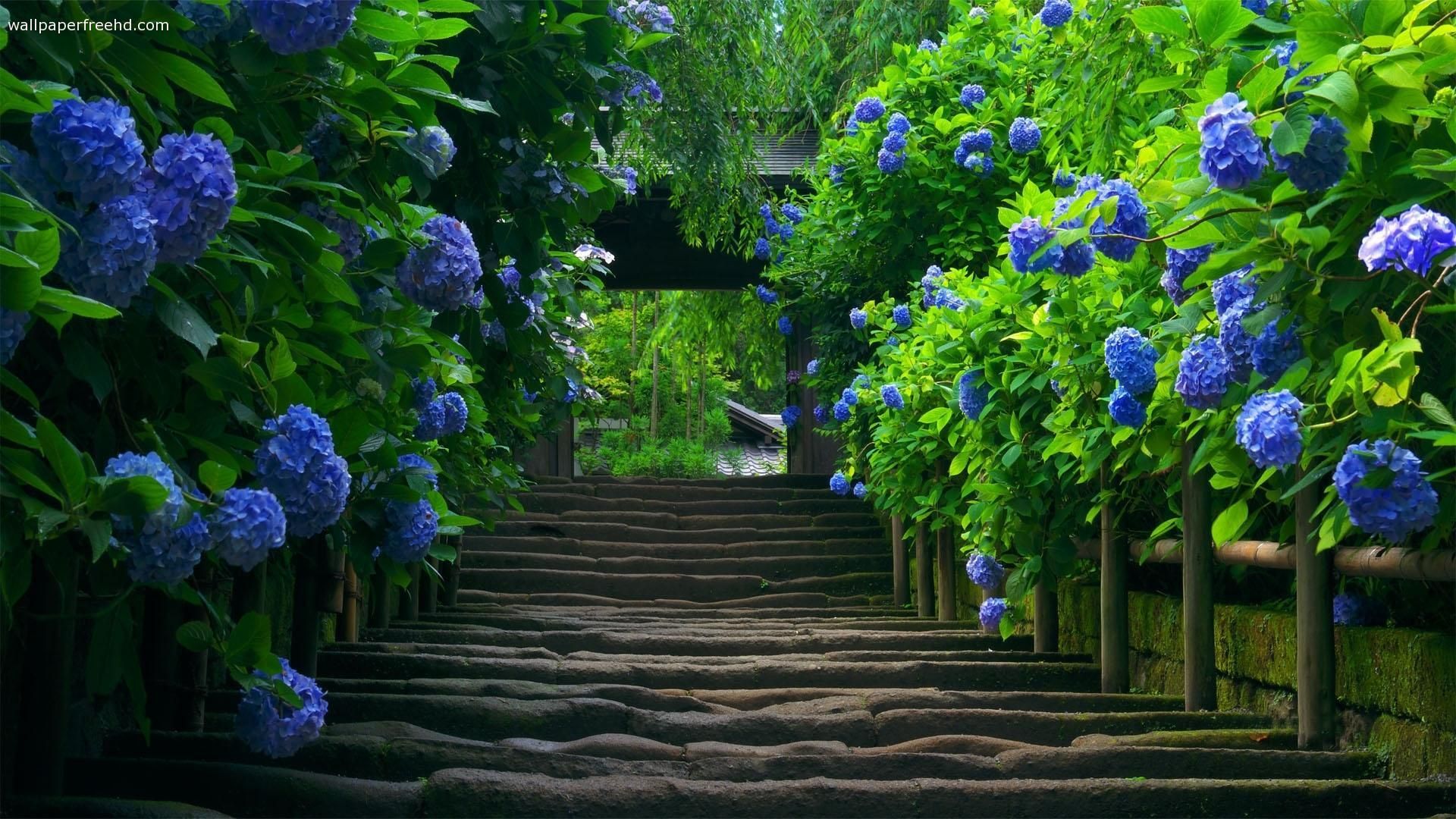 The Secret Garden Wallpapers