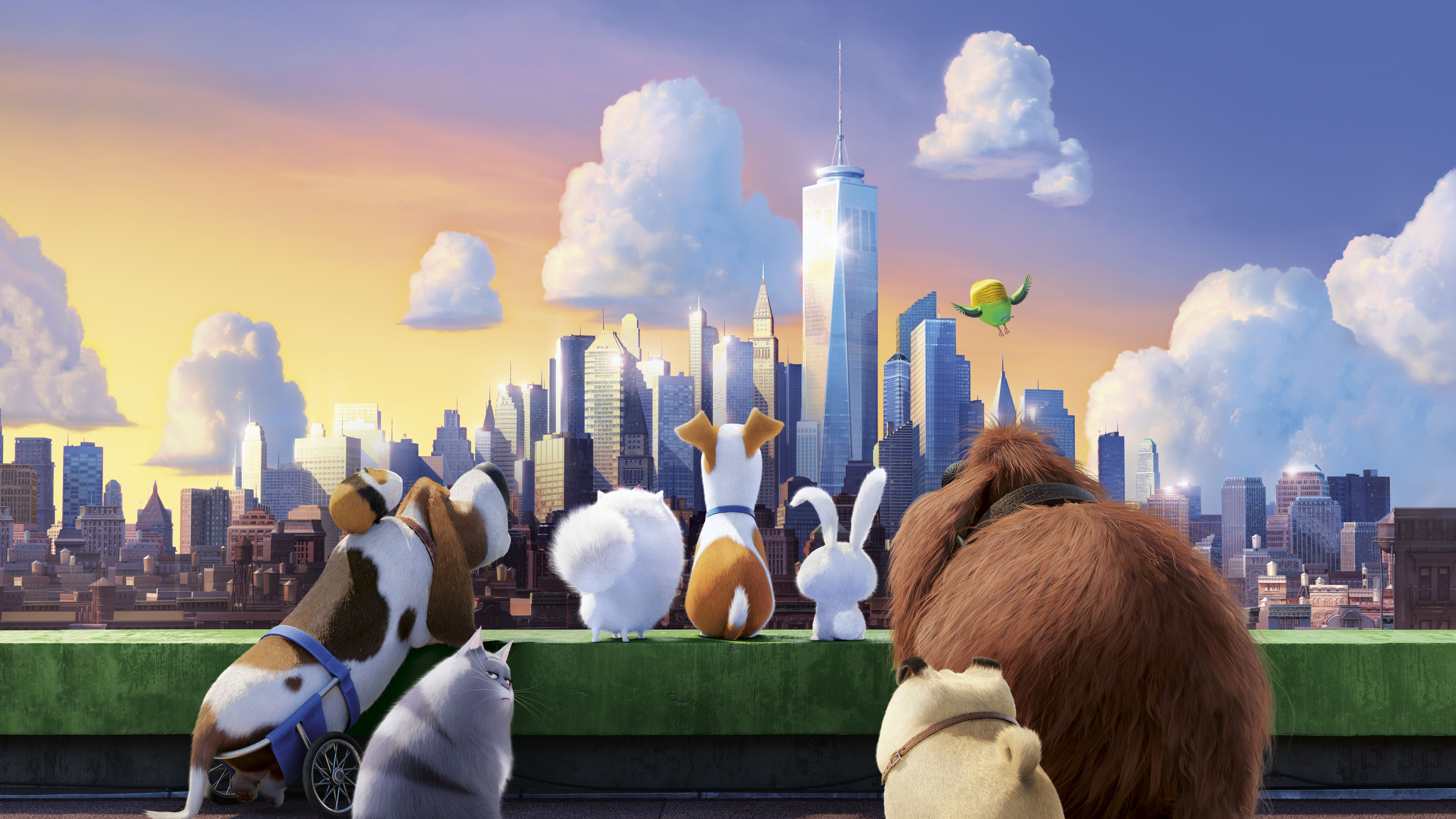 The Secret Life Of Pets Wallpapers