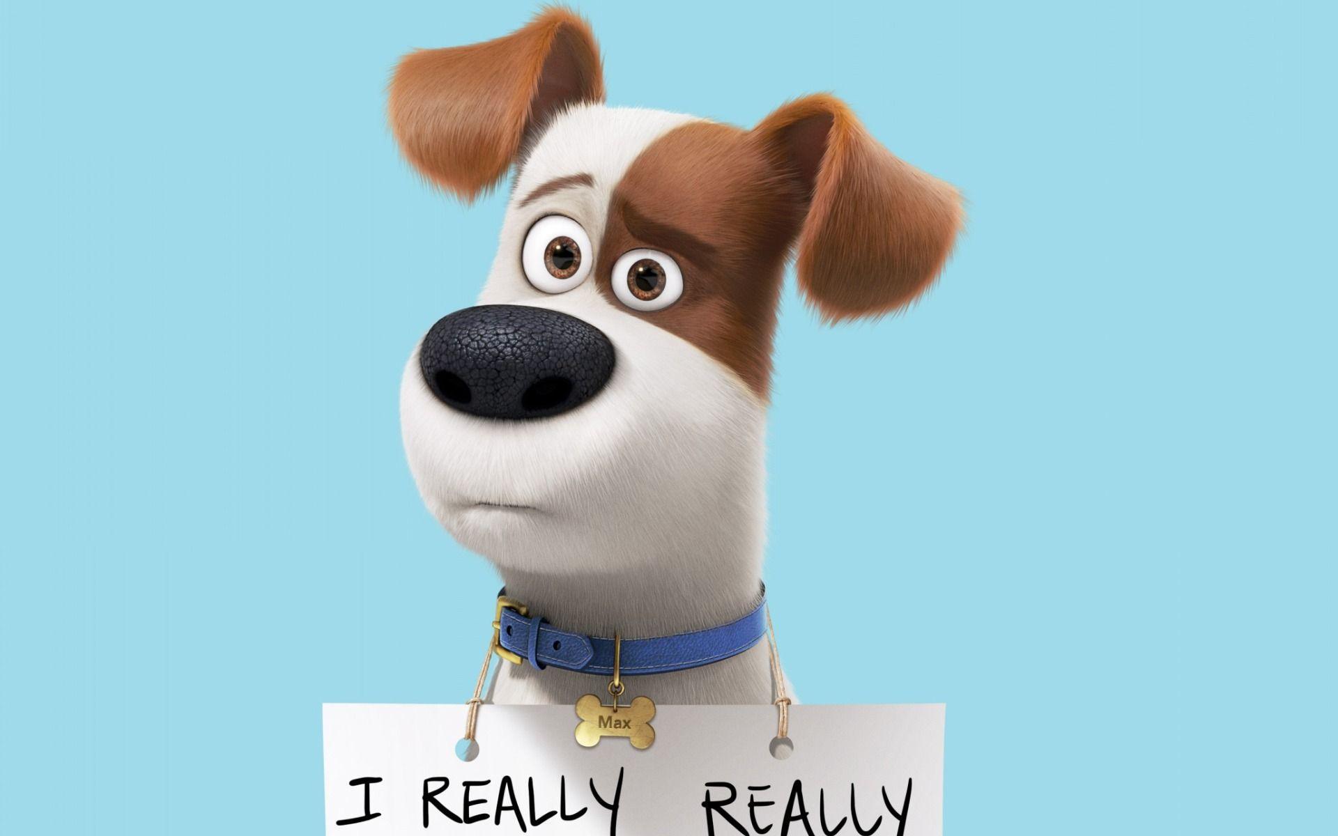 The Secret Life Of Pets Wallpapers