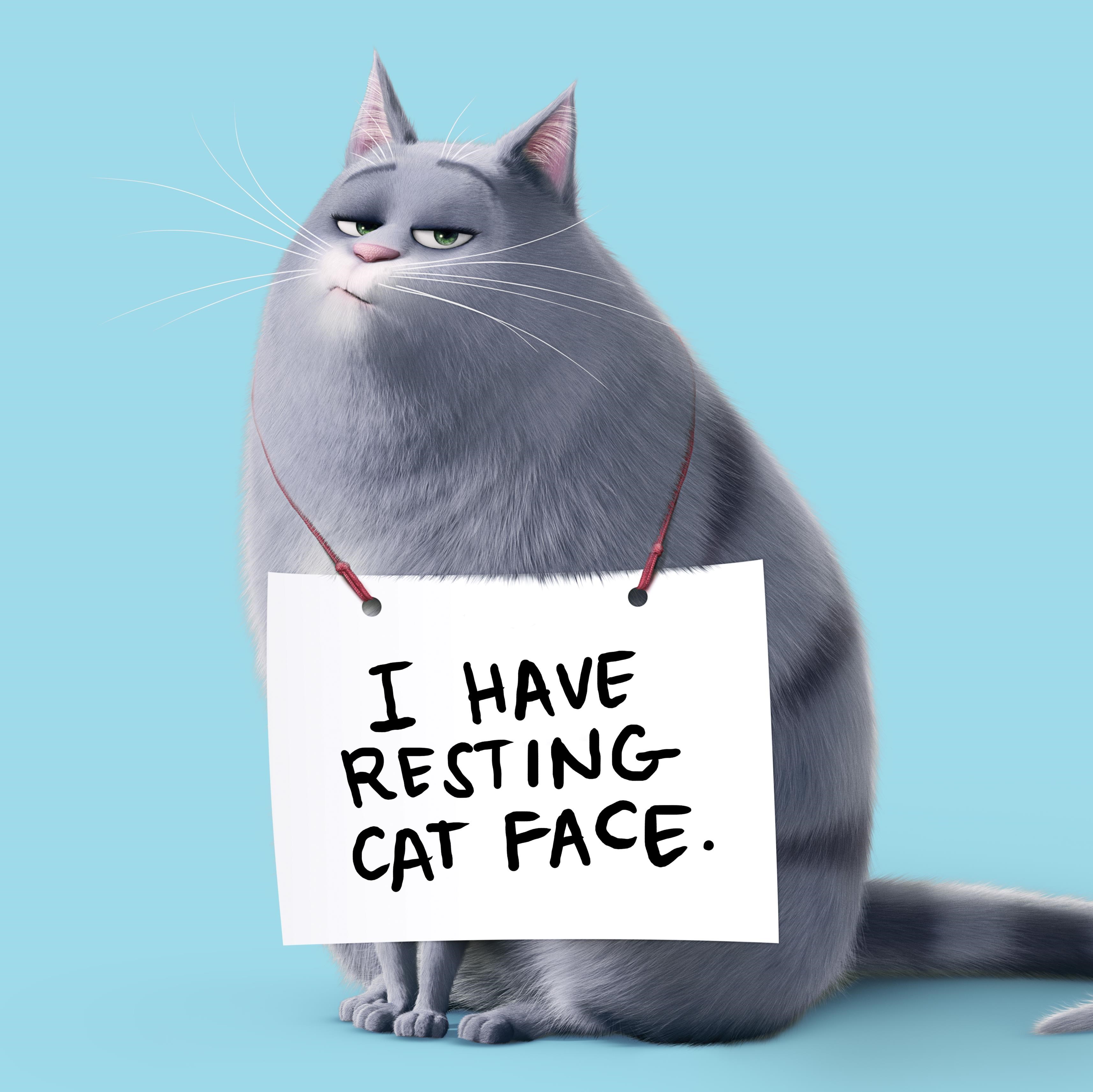 The Secret Life Of Pets Wallpapers